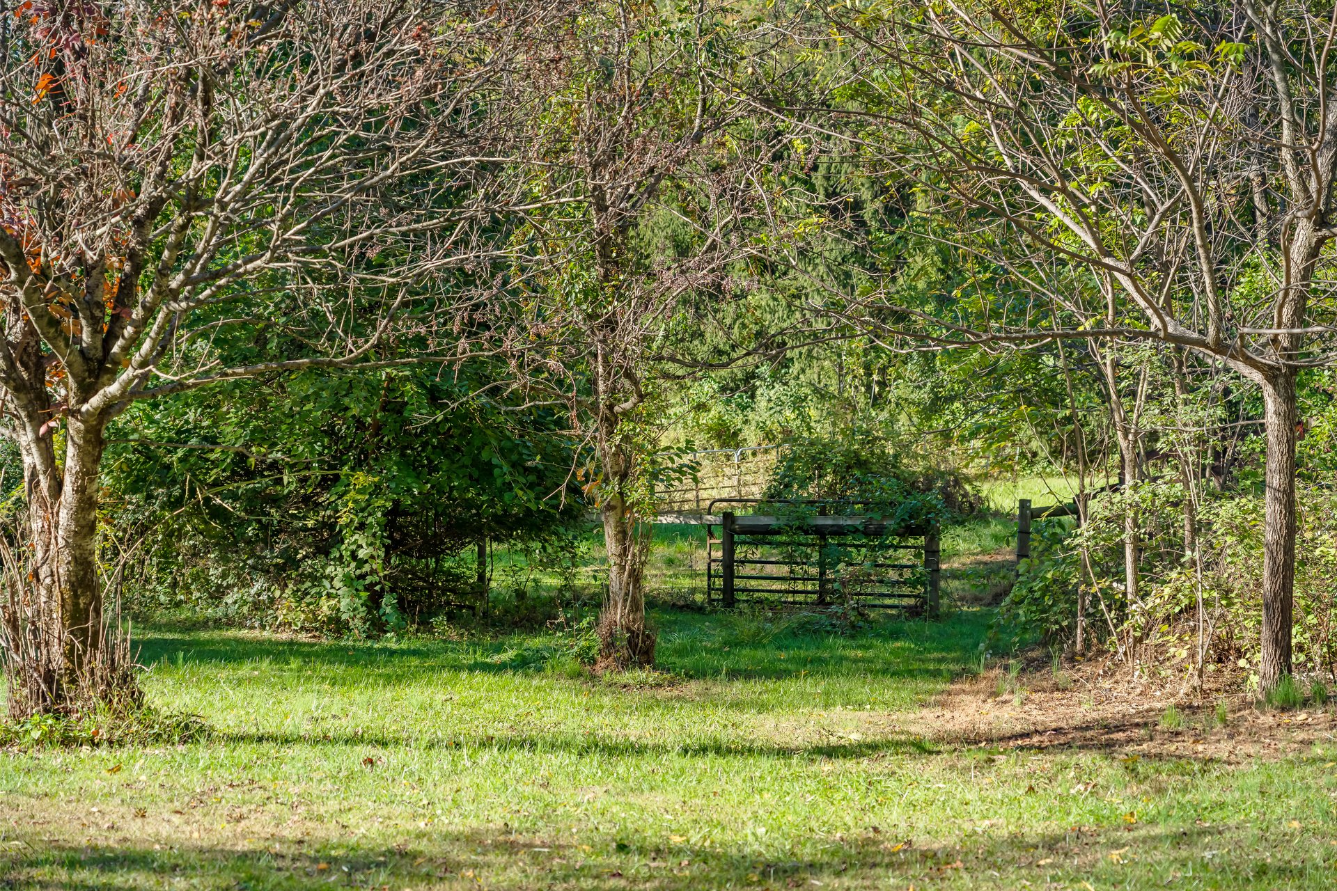 266 Deer Run Road