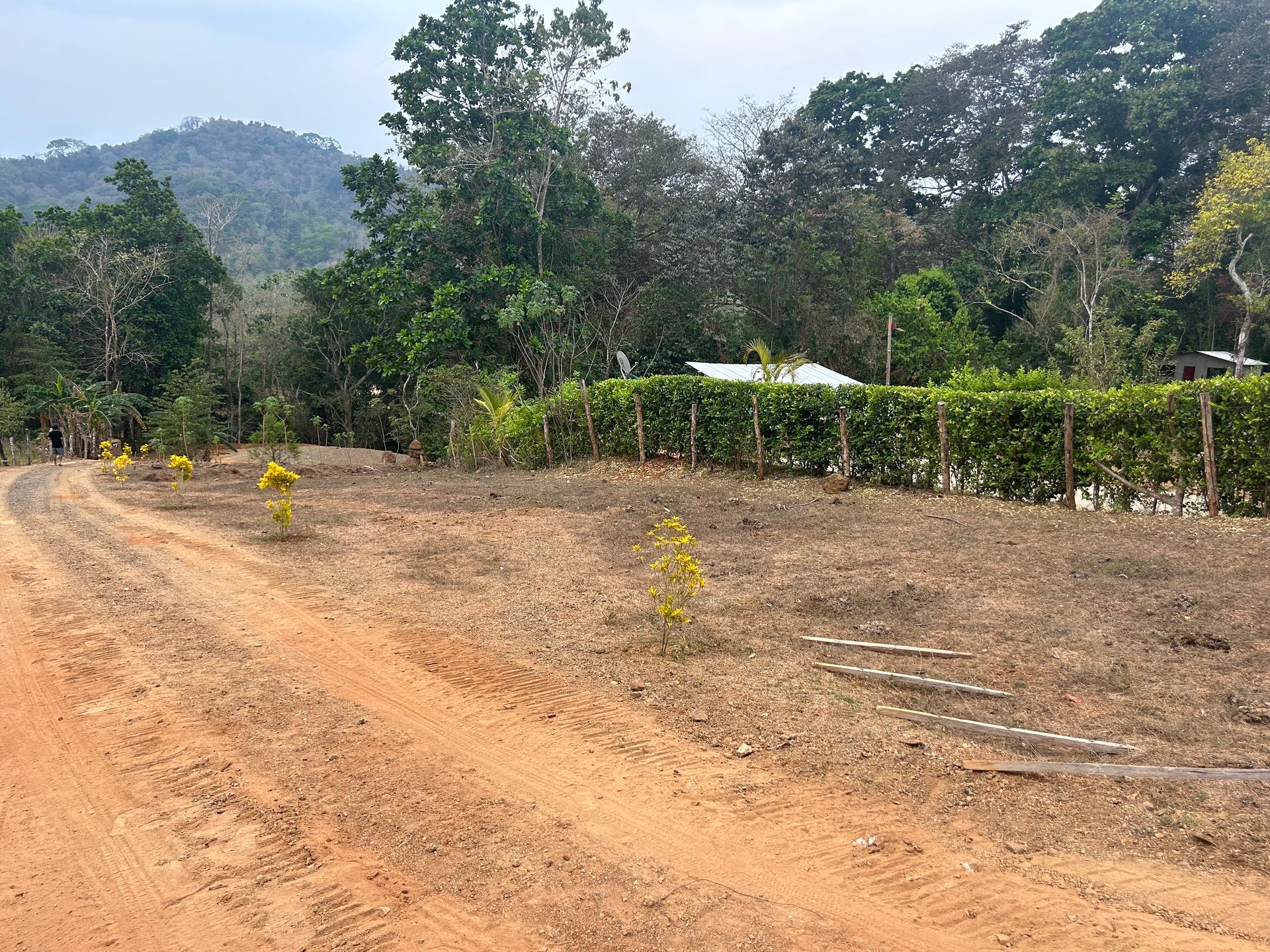 0.59 acre Lot El Carmen / El Carmen , Zapotal, Nandayure, Guanacaste