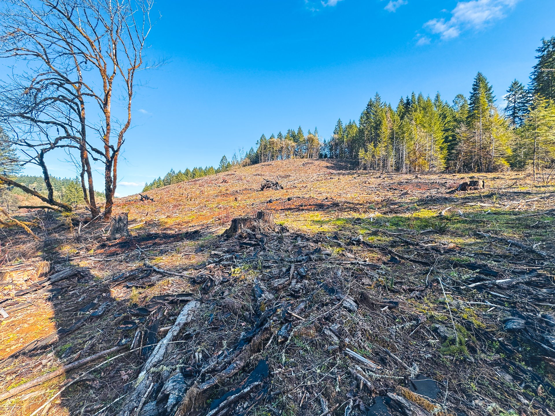 Sharewater Homesite
