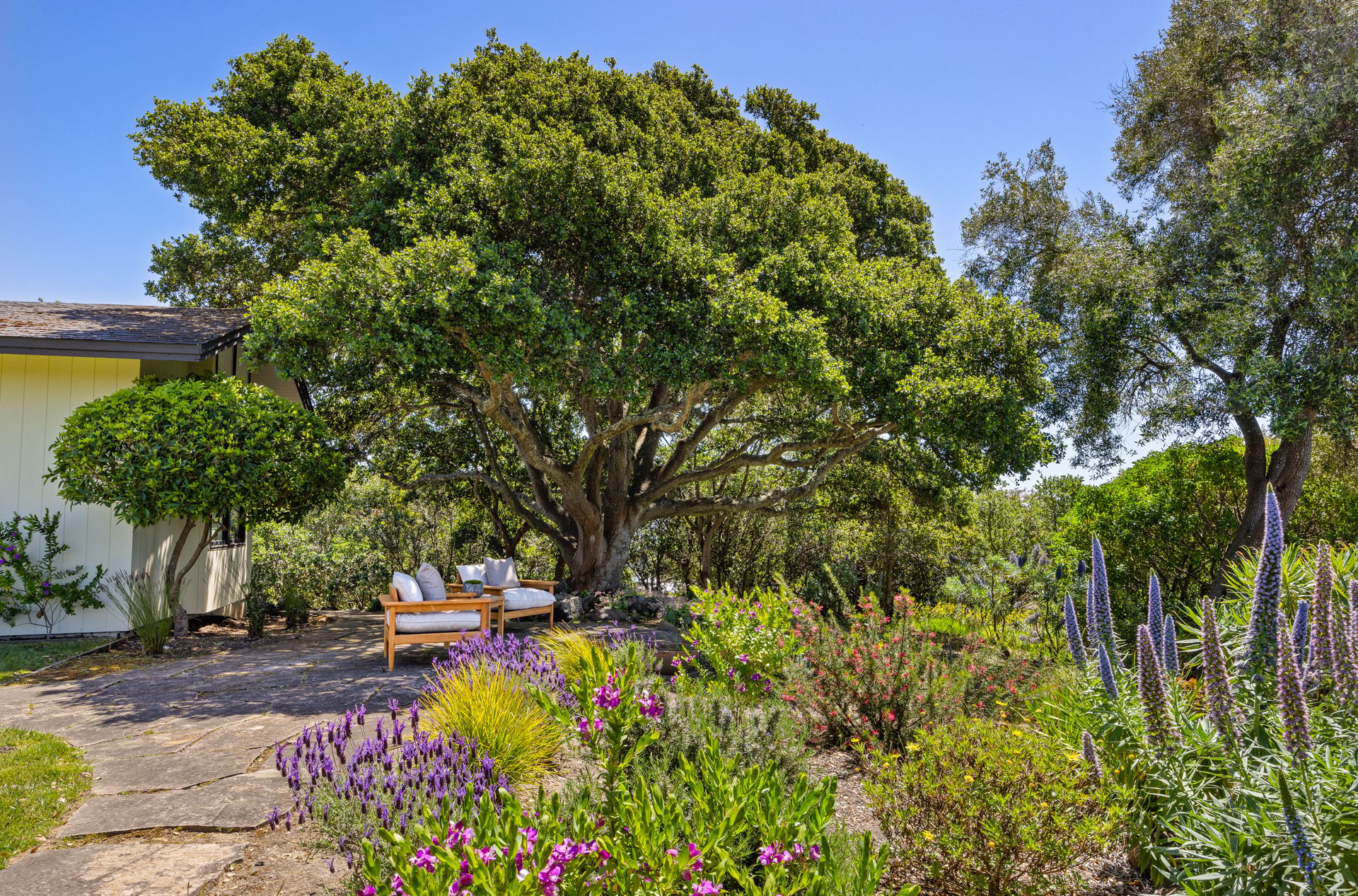 Rare 1+ Acre Dream Site