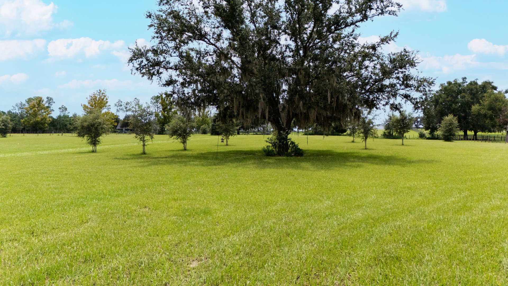 36341 FLORRIE MAE LN