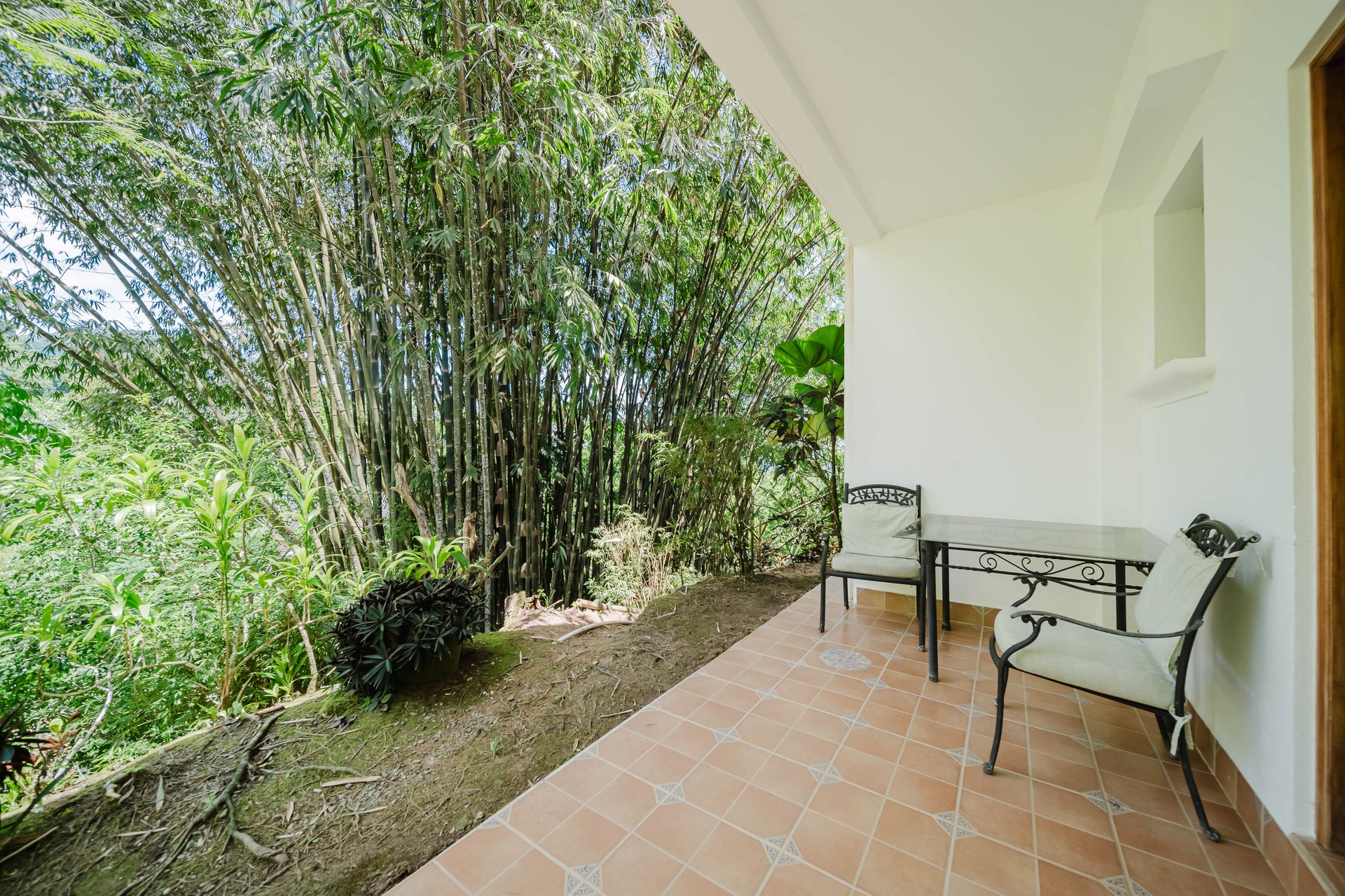Guest House and Building Site Luxury Boutique Hotel