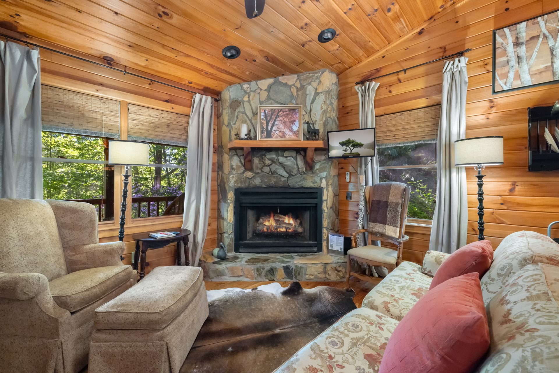 90 Holloway Circle, Blue Ridge, GA 30513