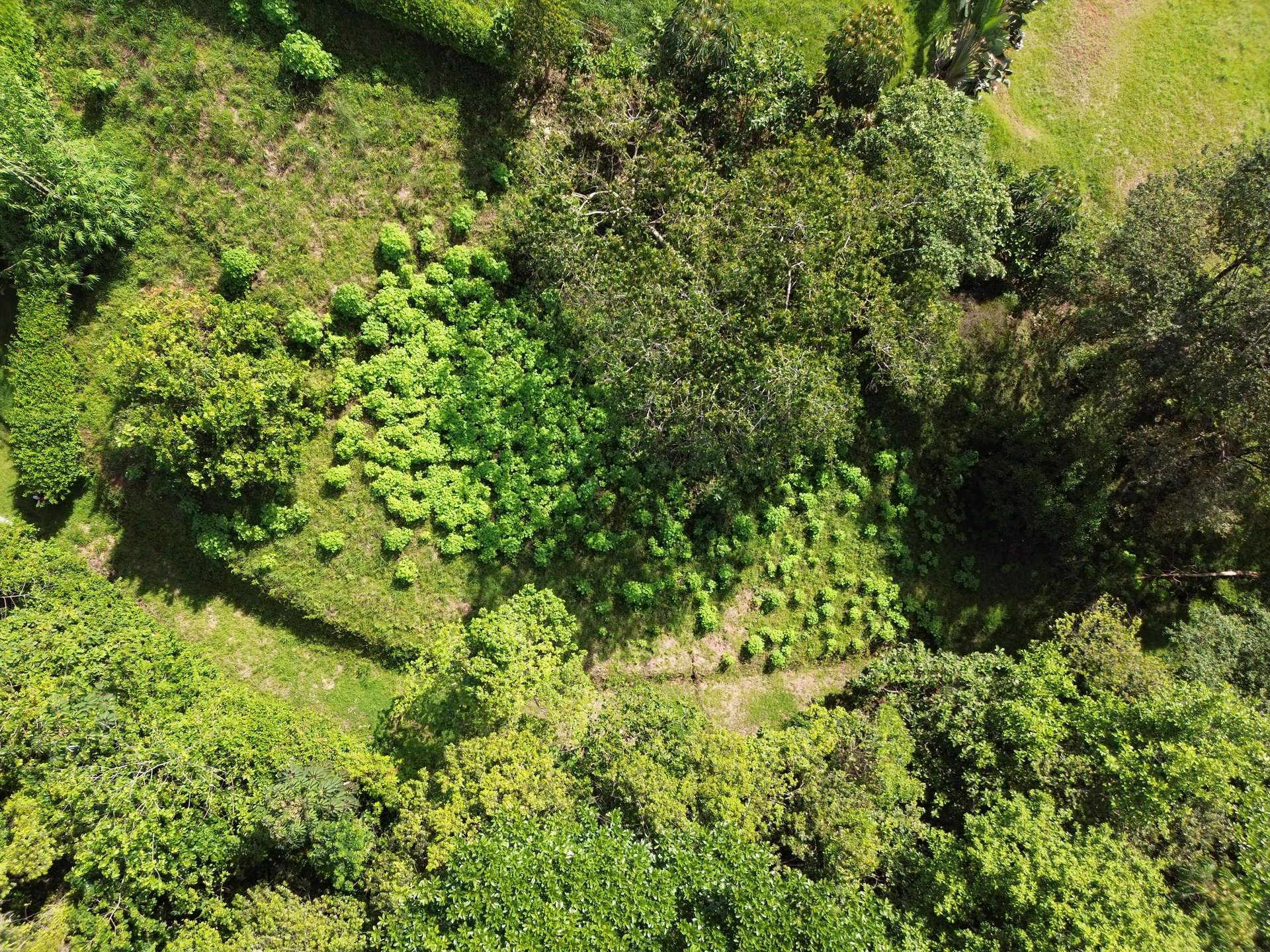 FIRE SALE - Cano Island & Ocean Views, w/Approved Building Plans