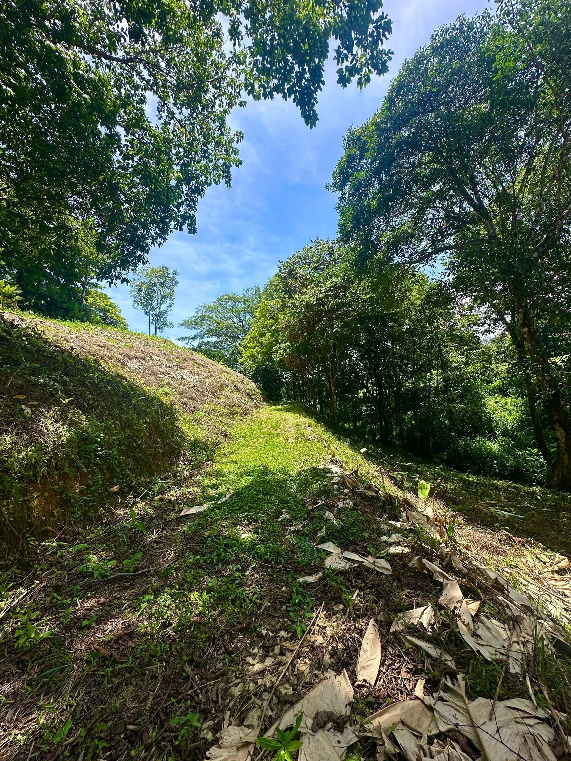Build-Ready Lot in Ojochal’s Calle Cacique | Easy Access & Stunning Mountain Views