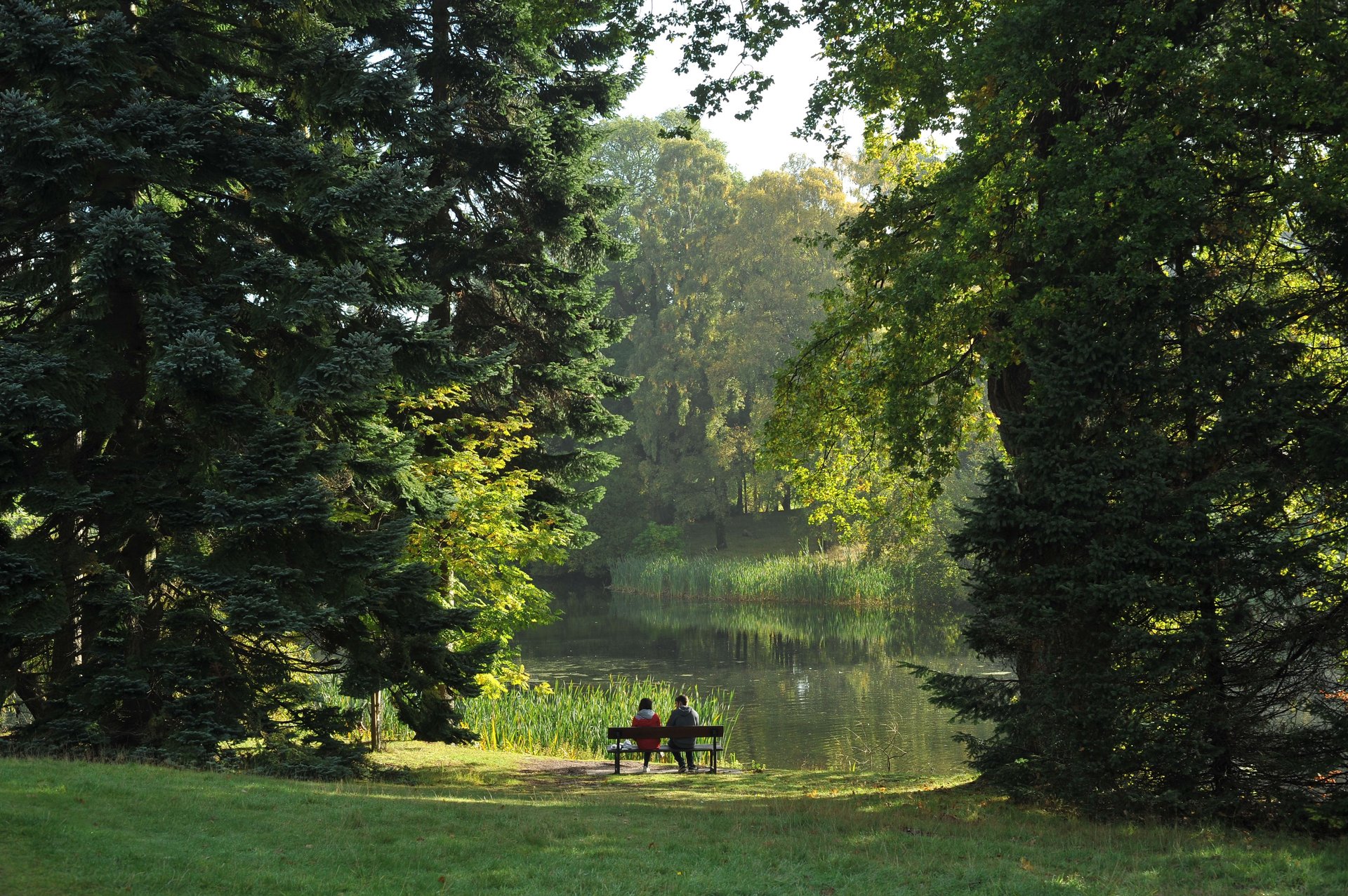 a back view of people sitting on a bench in a park