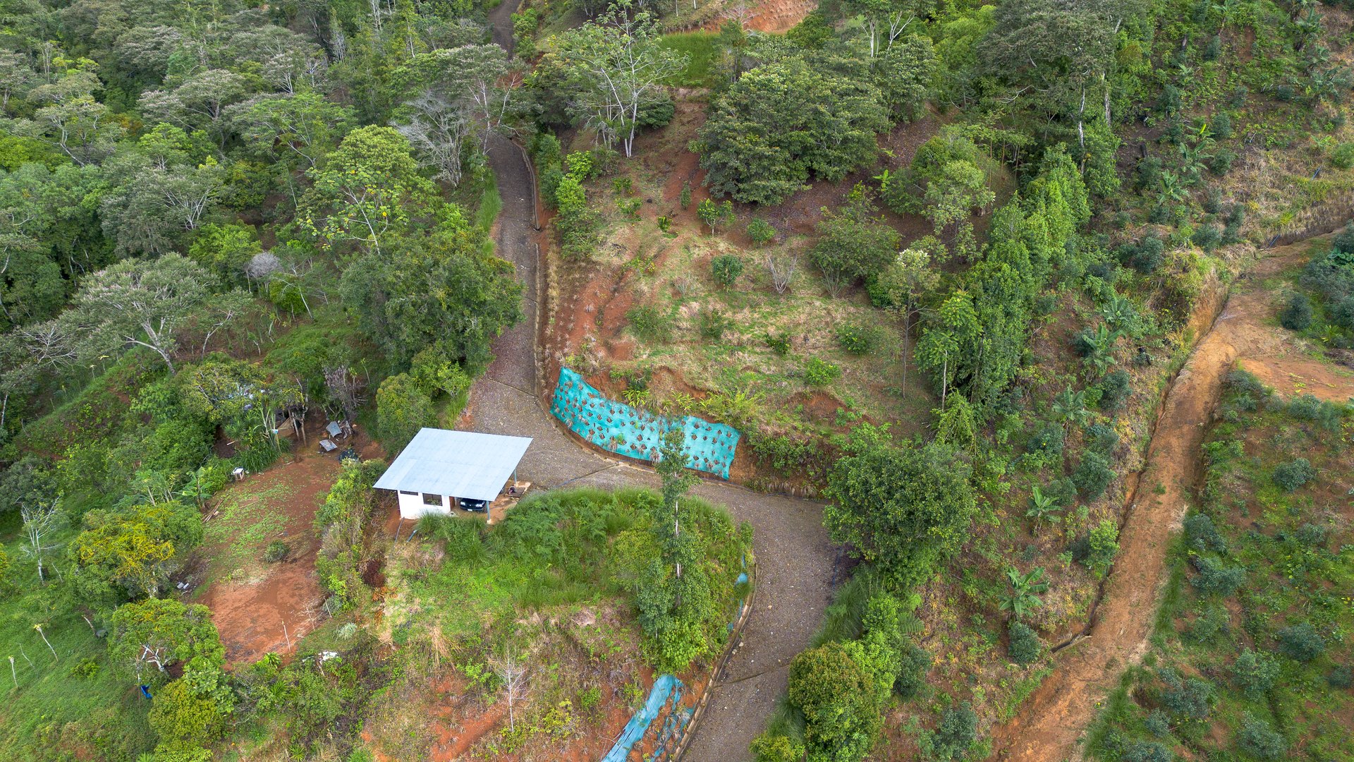 10.21 Acres with Views & Plantels – Pérez Zeledón