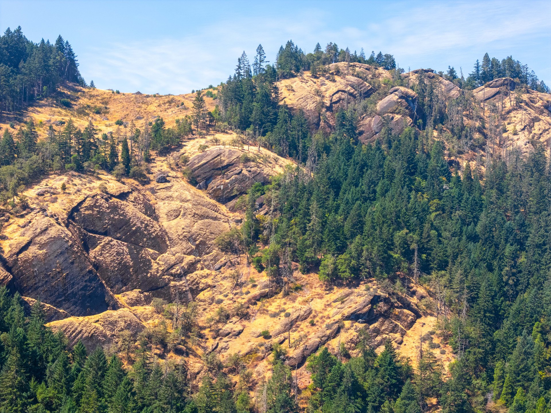 STRICKLAND BOULDER FOREST