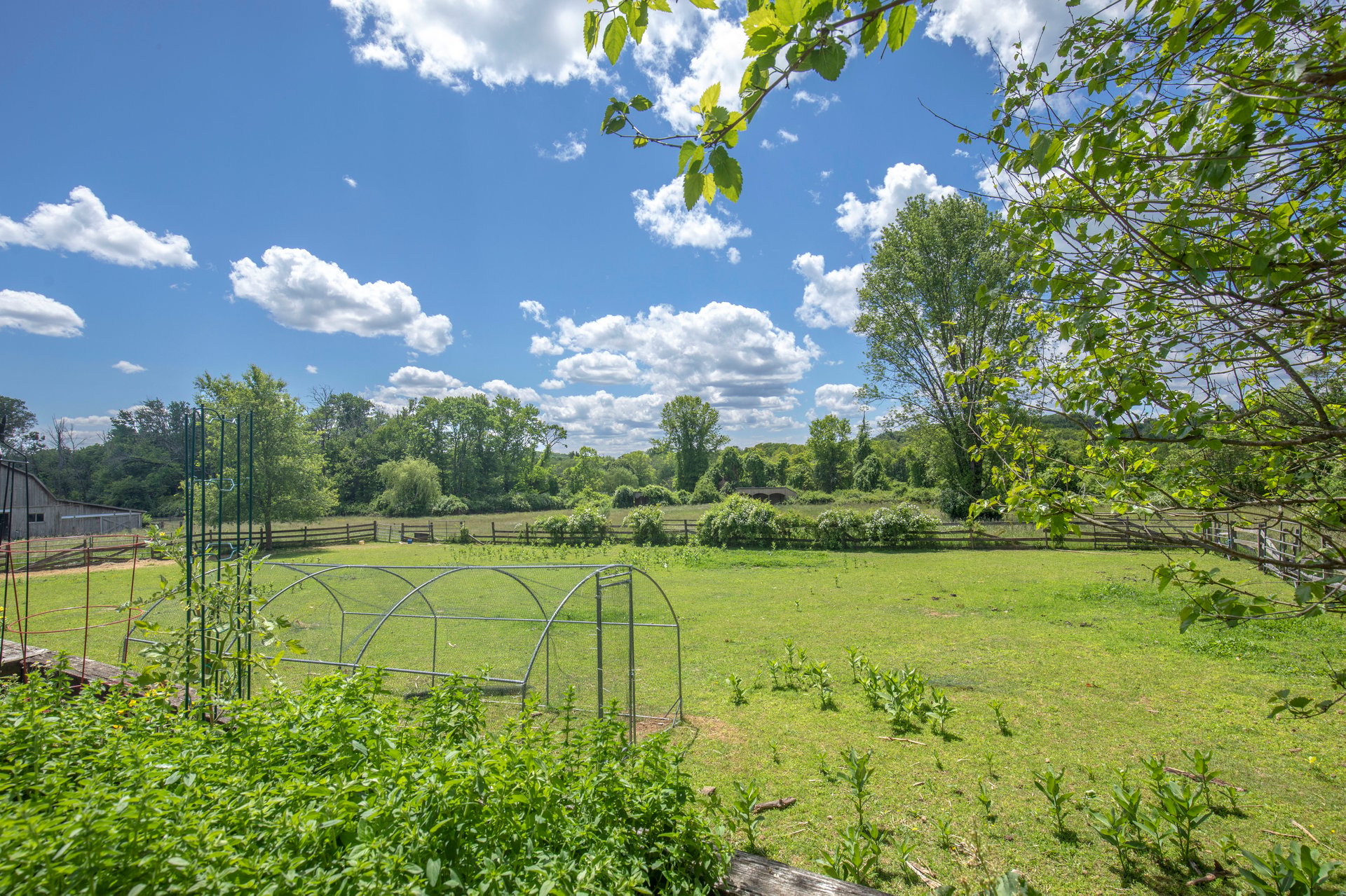 13 Farmersville Rd