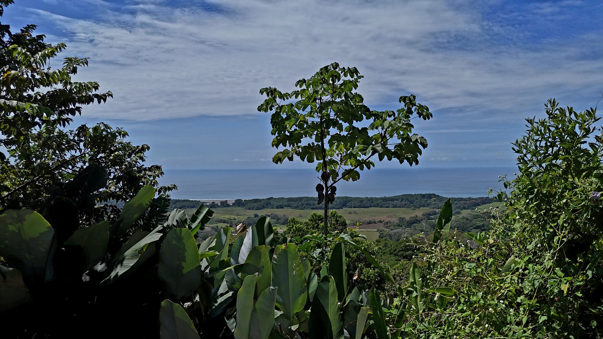 Ocean View Property with Plantel and Trails in Hatillo – Ready to Build