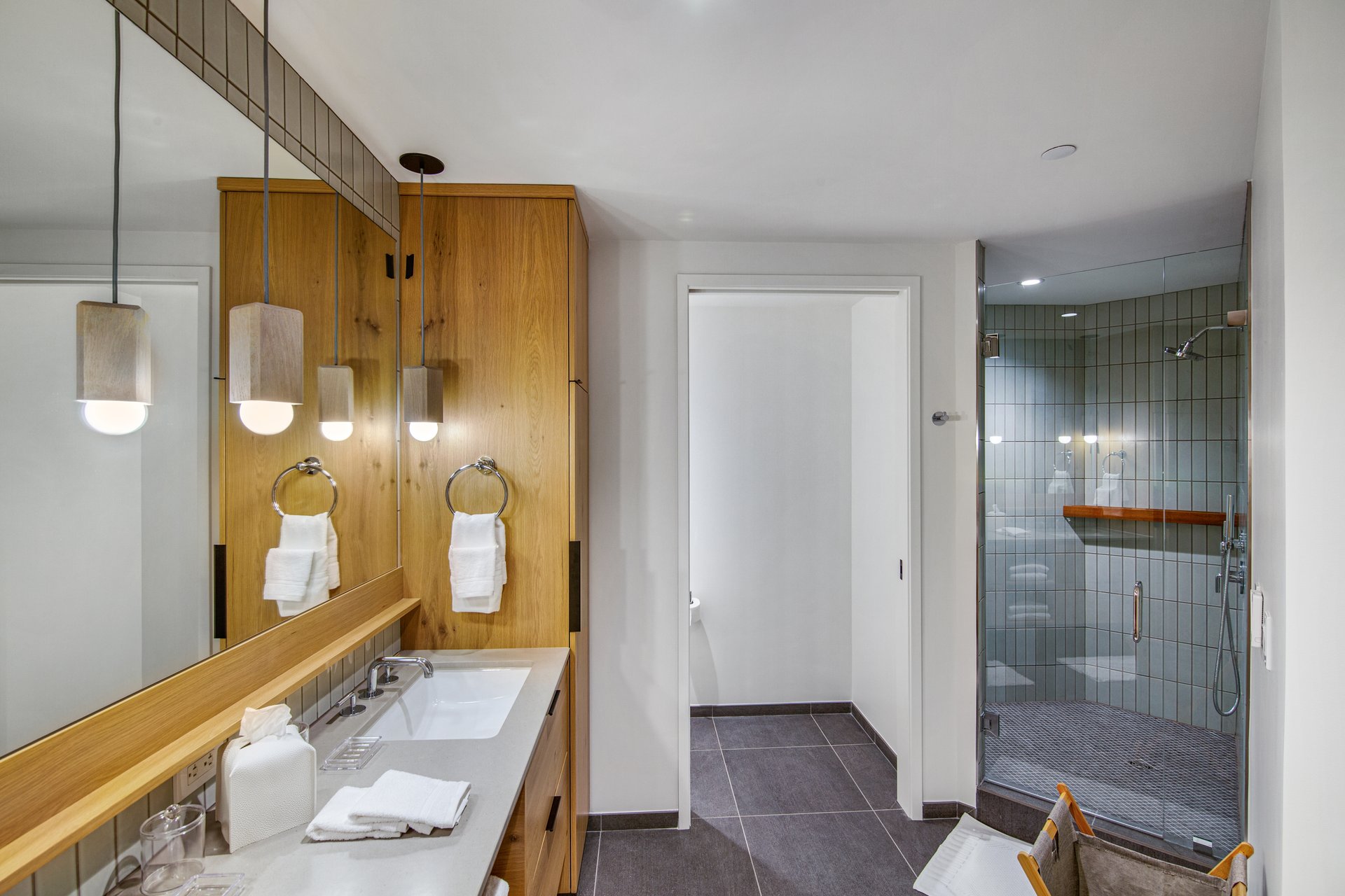 Modern Snowmass Retreat