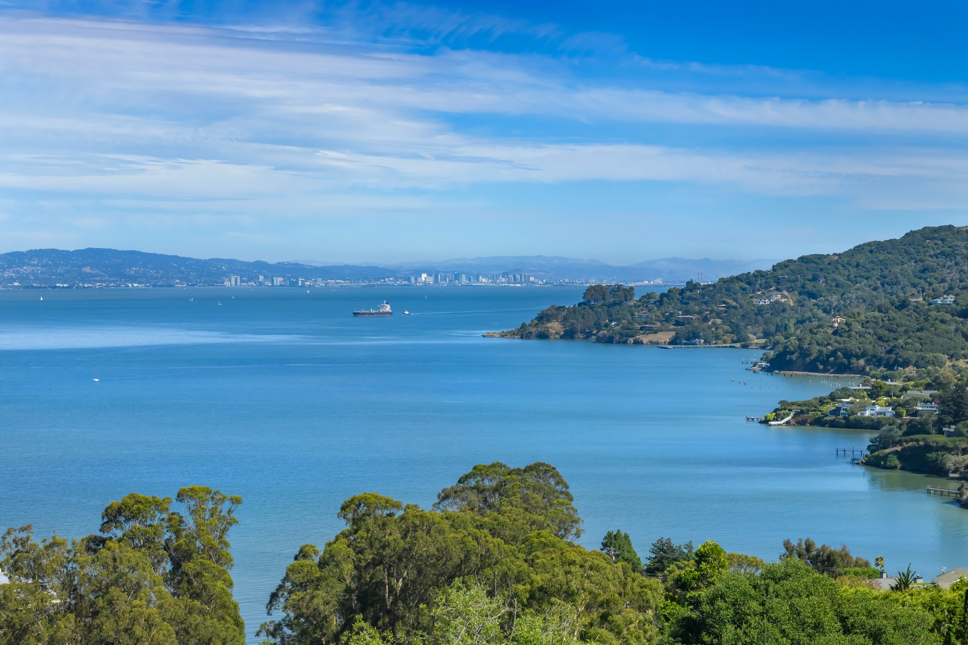 Tiburon Legacy Estate with Unparalleled Views and a Rare Connection to Nature