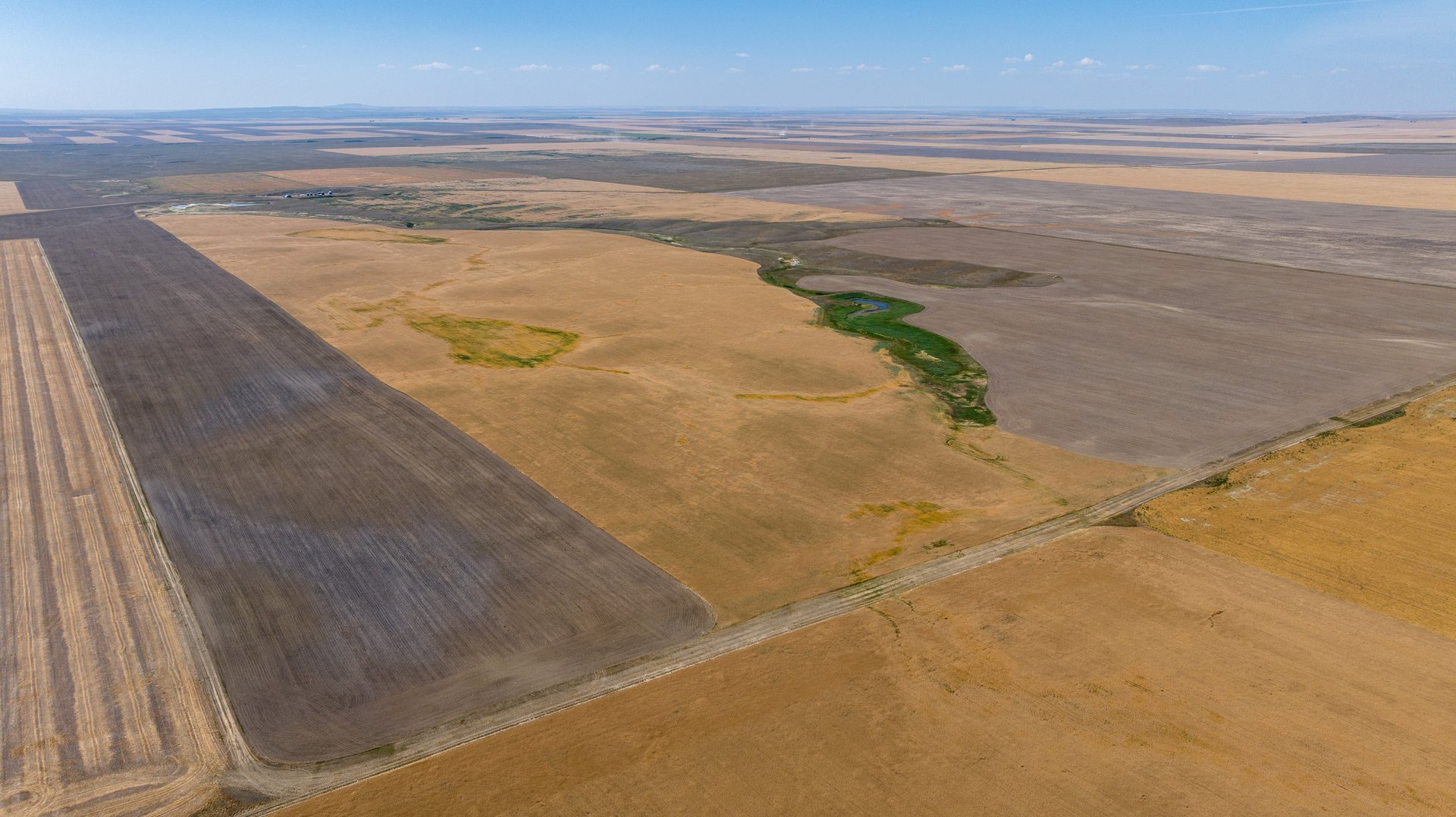 Hill County Organic & CRP Farm