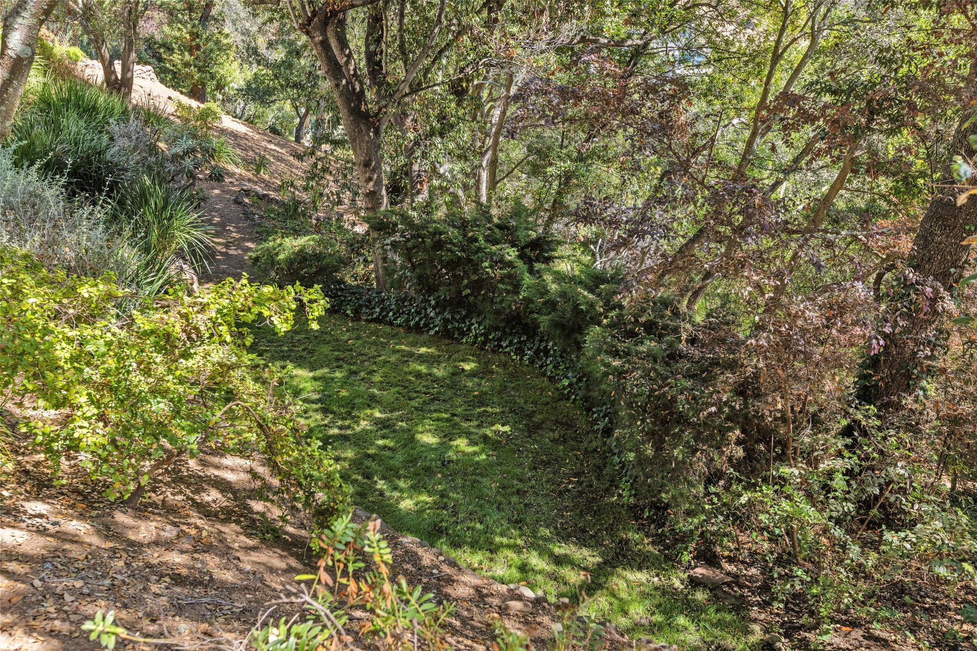 12 Tara View Road