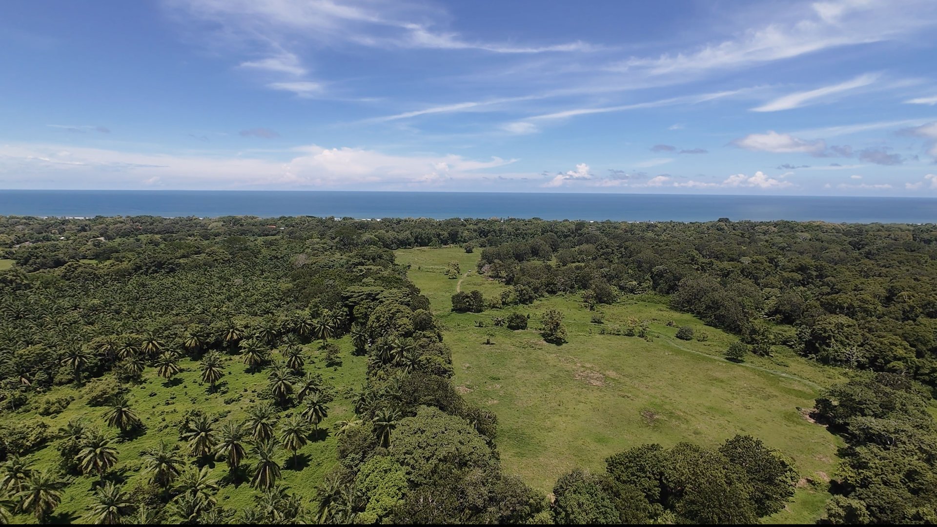 Access Beach Lots -81 Acres-Matapalo