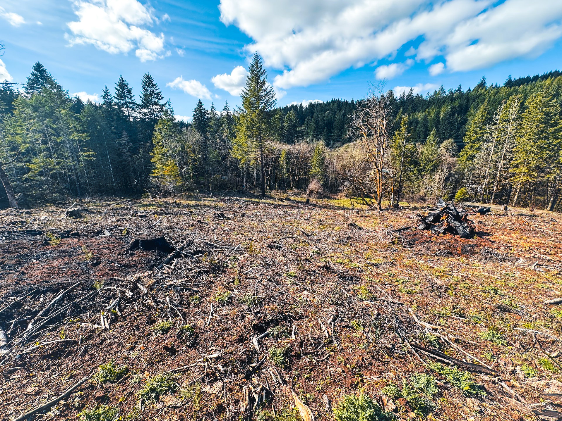Sharewater Homesite