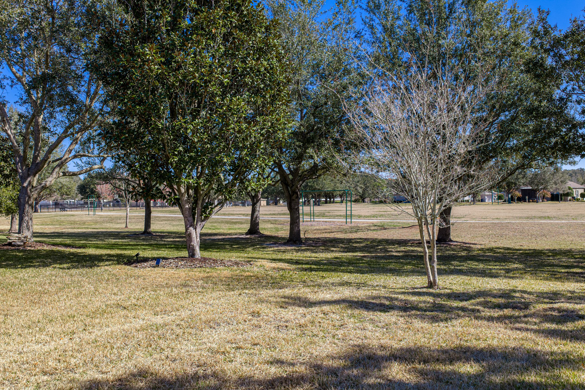 13322 TRAILING MOSS DR