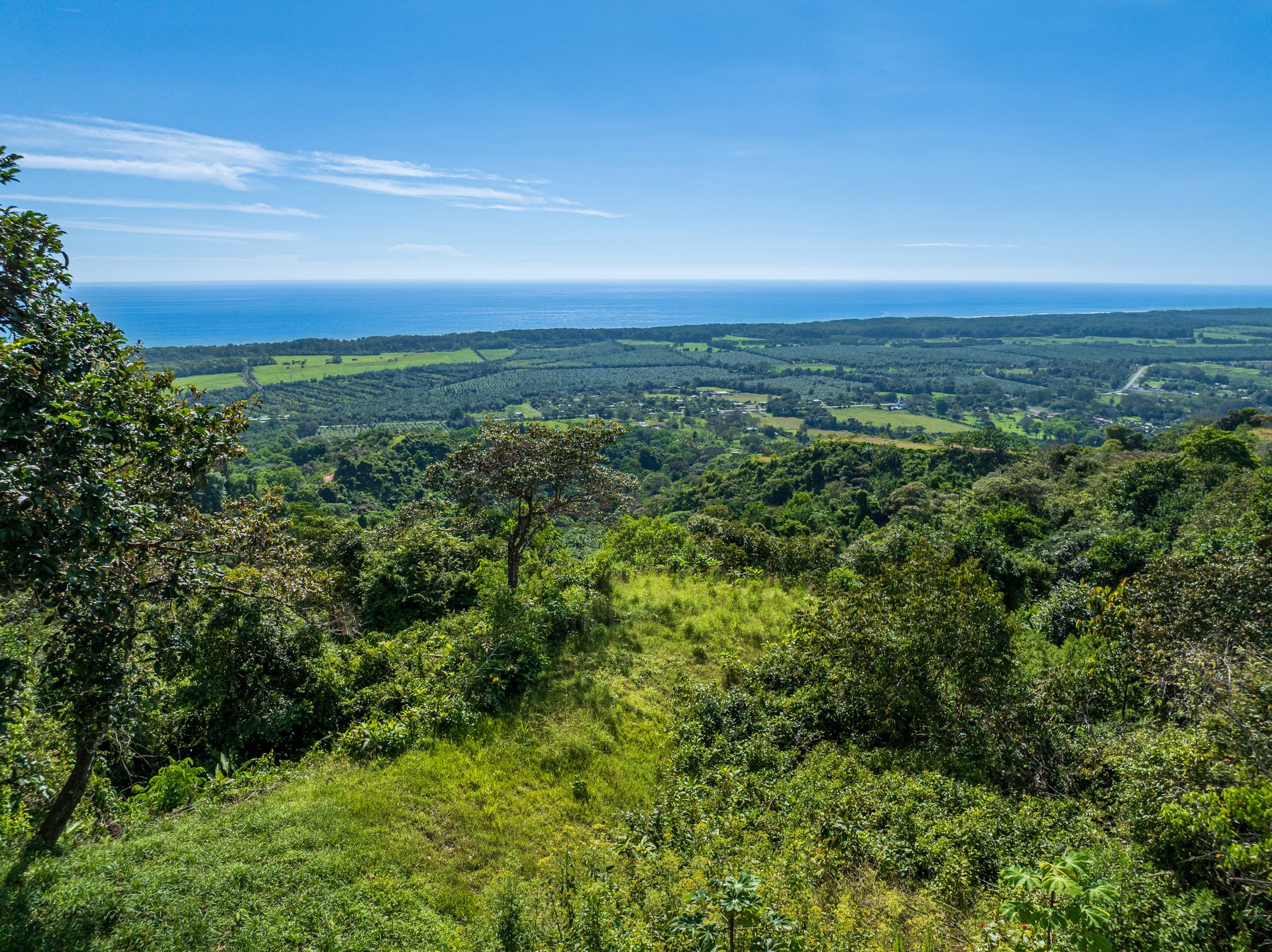 A Unique Ocean View Estate Designed for Visionary Investors