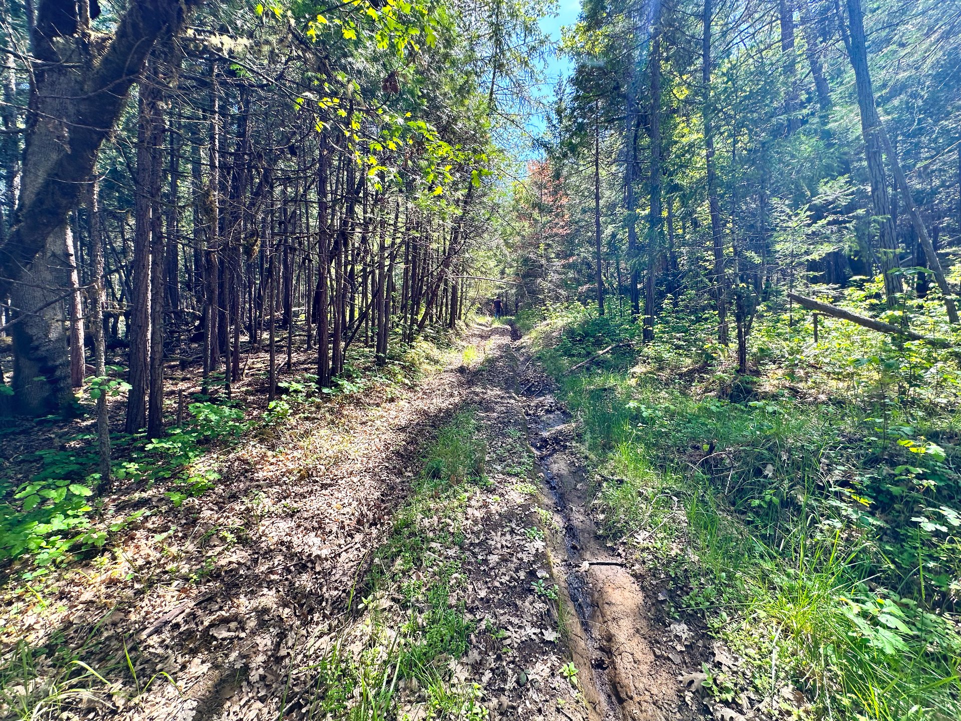 WAGON ROAD HOMESTEAD