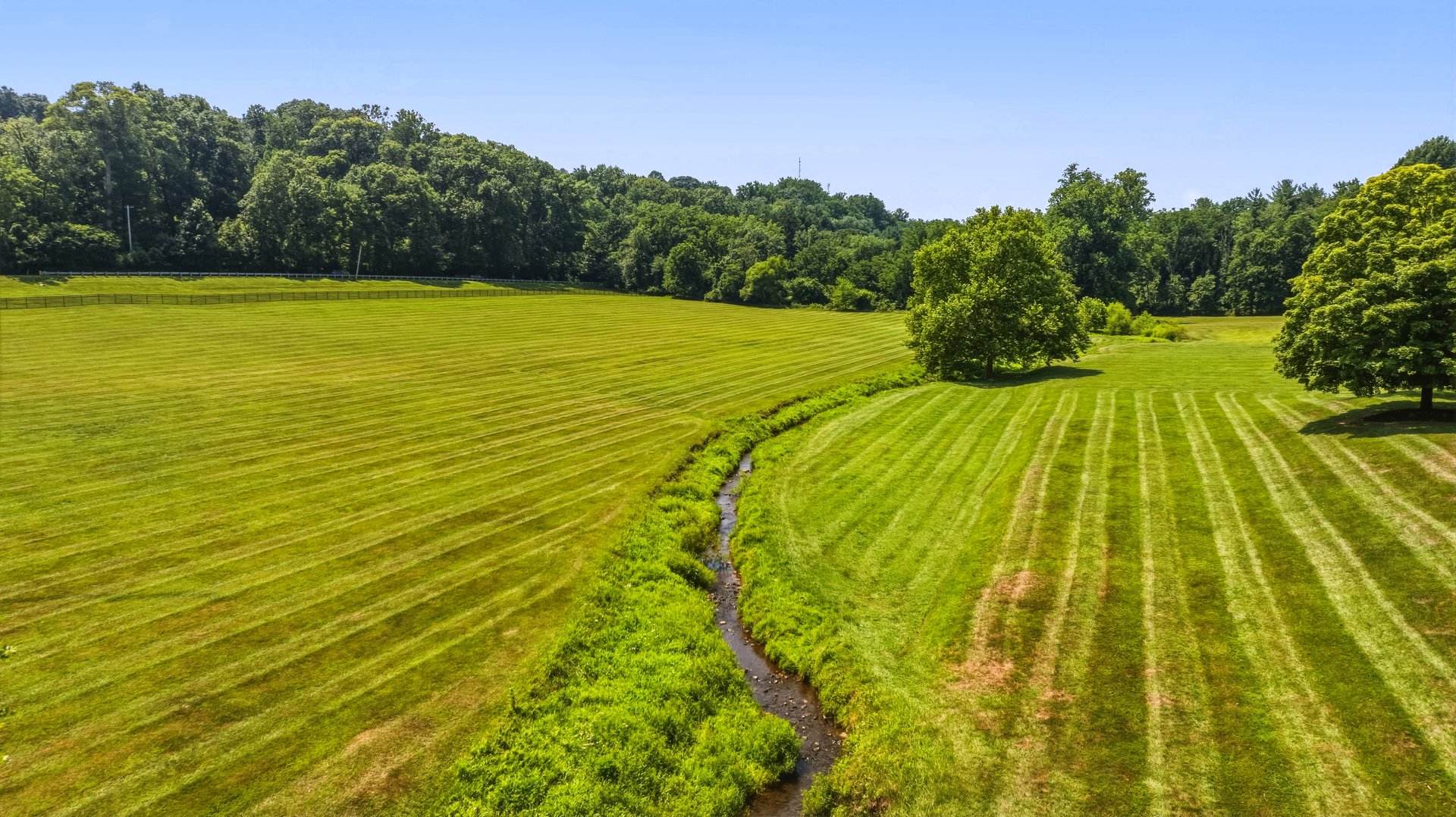 55 Acre Monkton Estate Farm