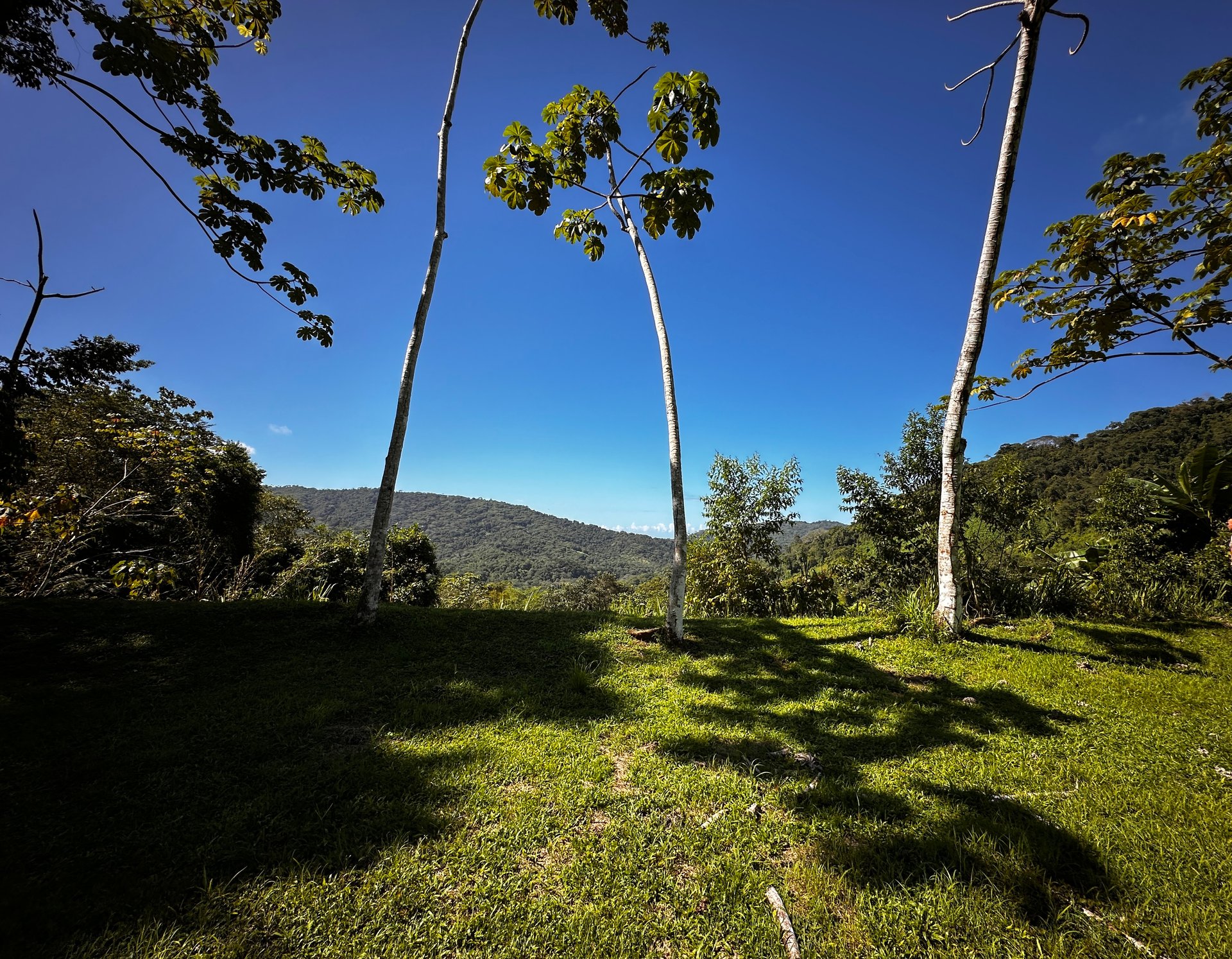 Ready To Build Lot Minutes From the Beach Dominical!
