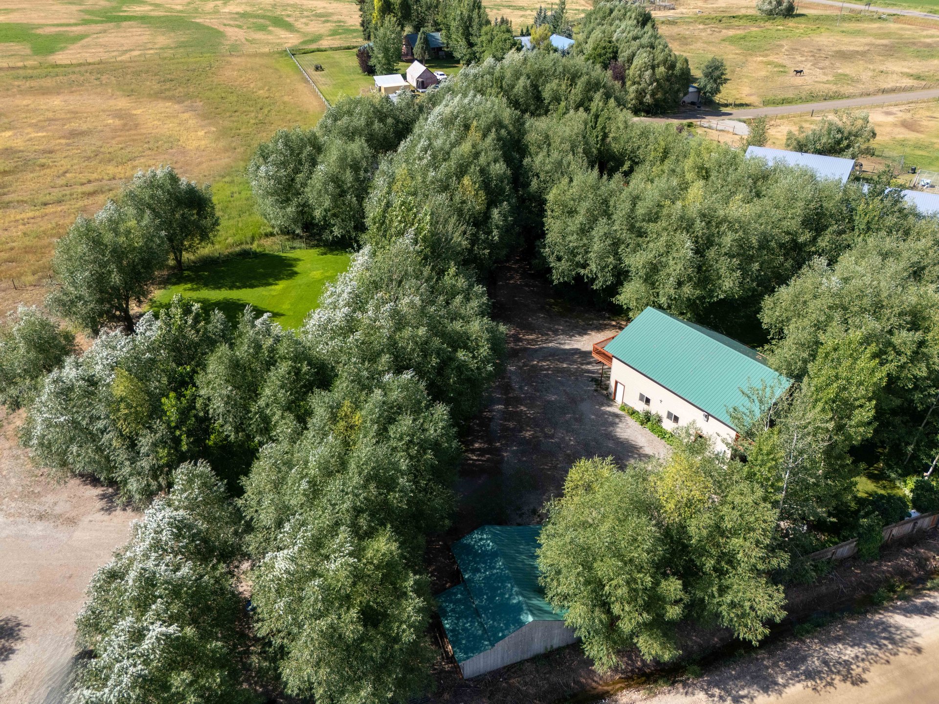 141 COUNTY ROAD 184