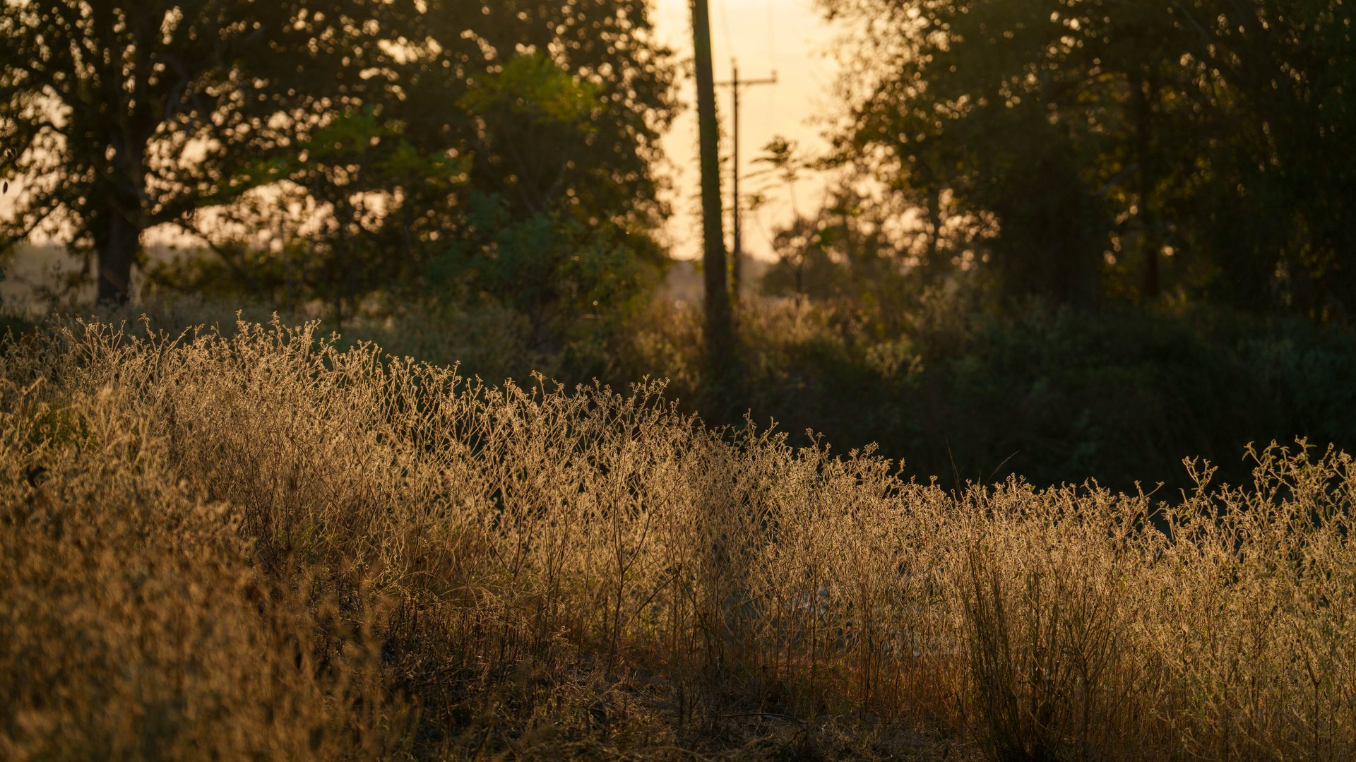 Gonzales County | 104+/- Acres