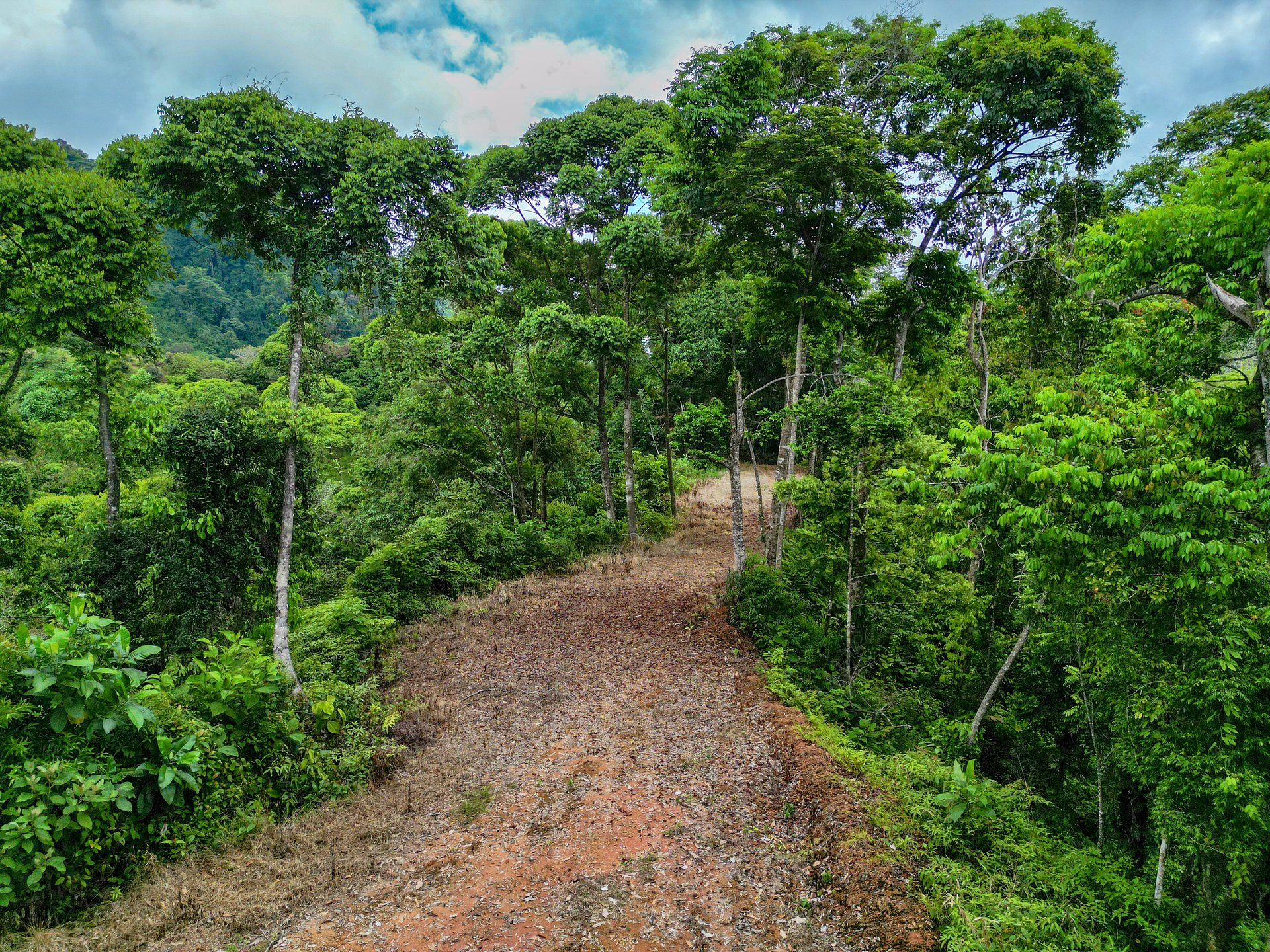 59.35 ACRES- Ocean And Mountain View Land, 6 Building Areas, Legal Water, Public Road, 20min From Beaches!!!