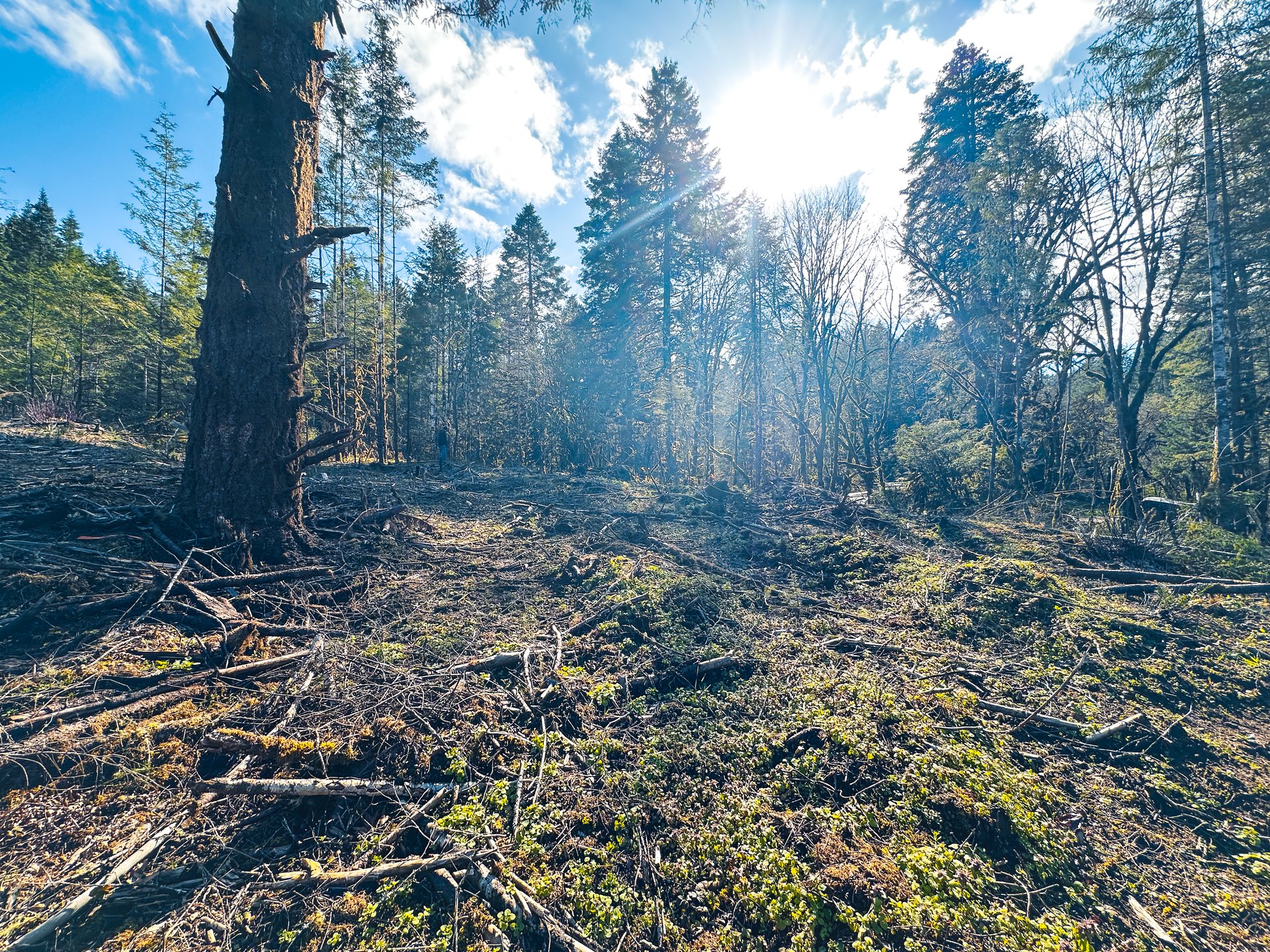 Sharewater Homesite