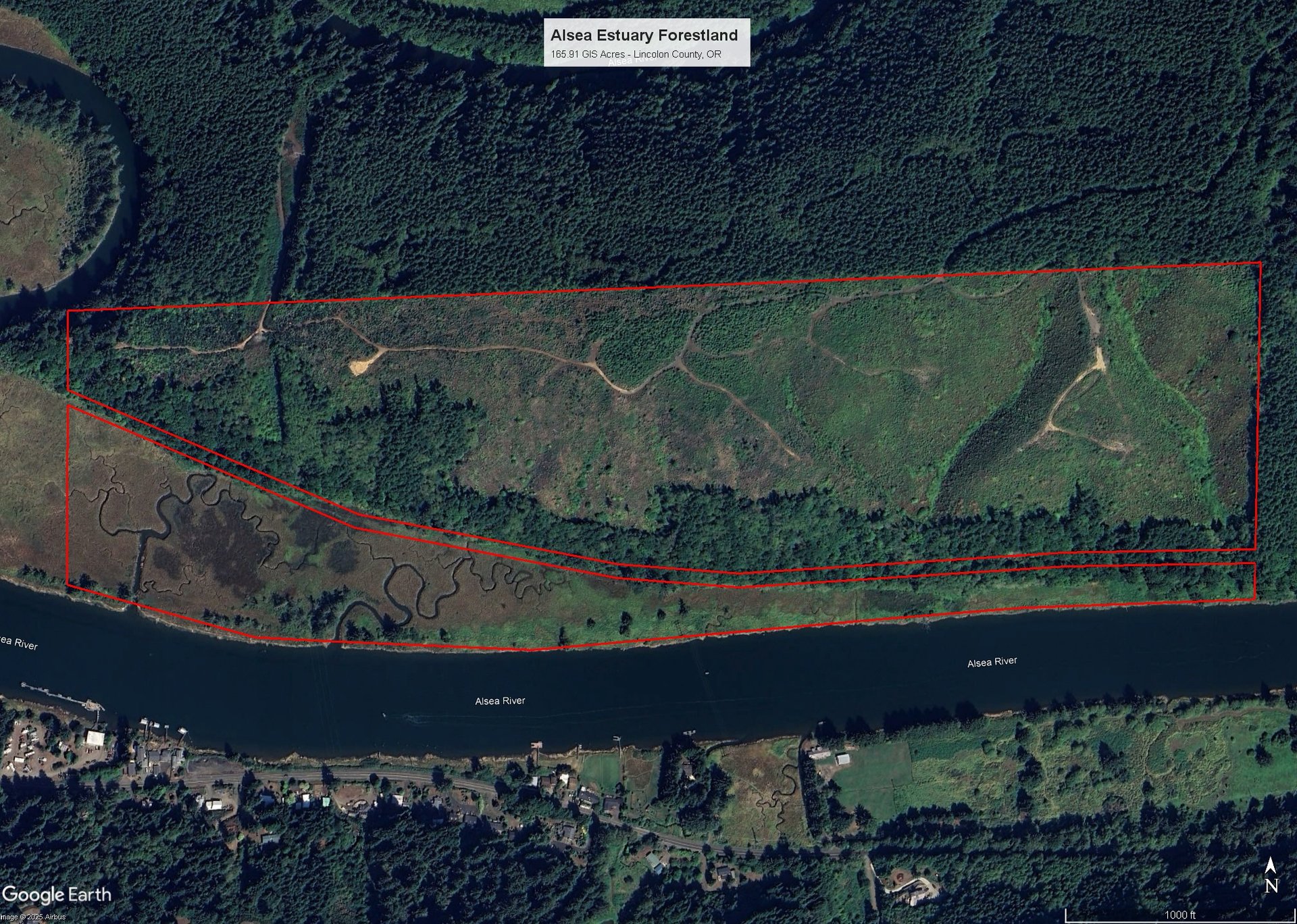 Alsea Estuary Forestland