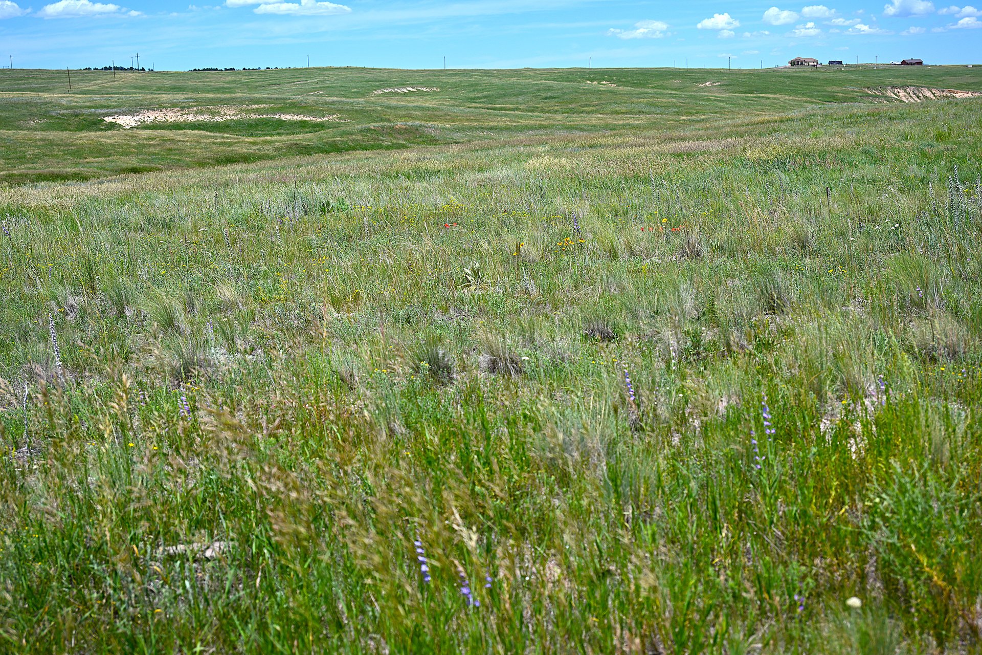 Lot 2 Steppler Road