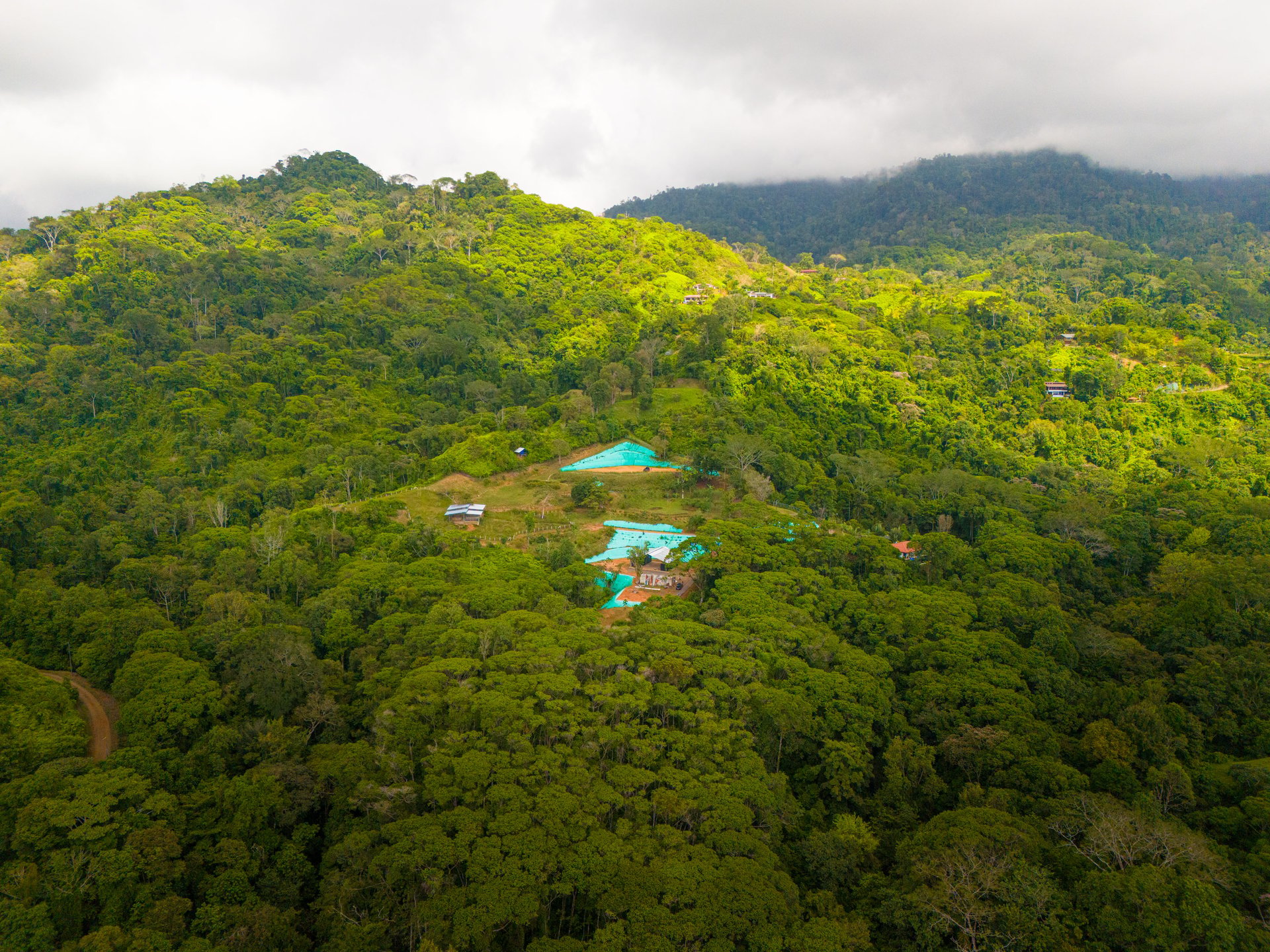 Oceanview Homestead in Tres Rios