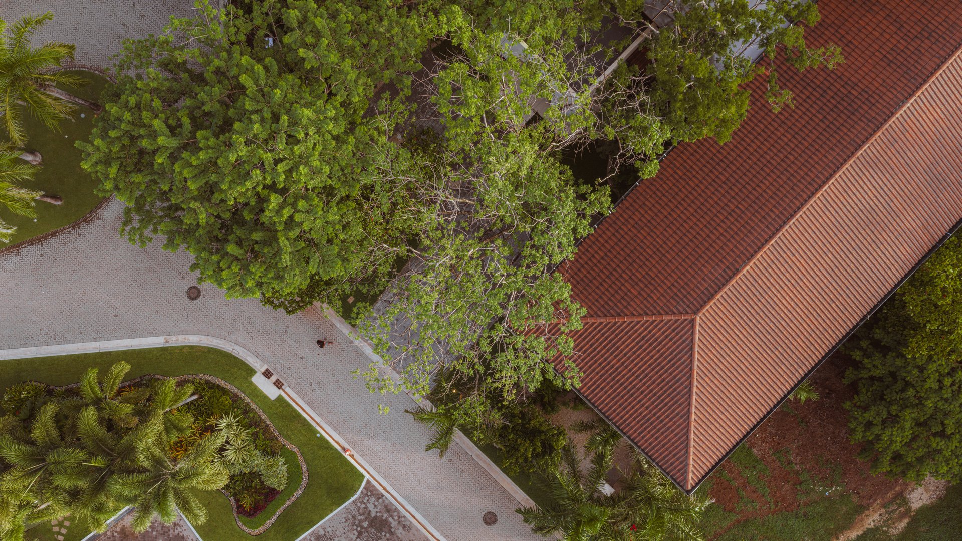 Casa Nya | Ocean-View Luxury Estate Steps from the Beach in Hacienda Pinilla, Costa Rica