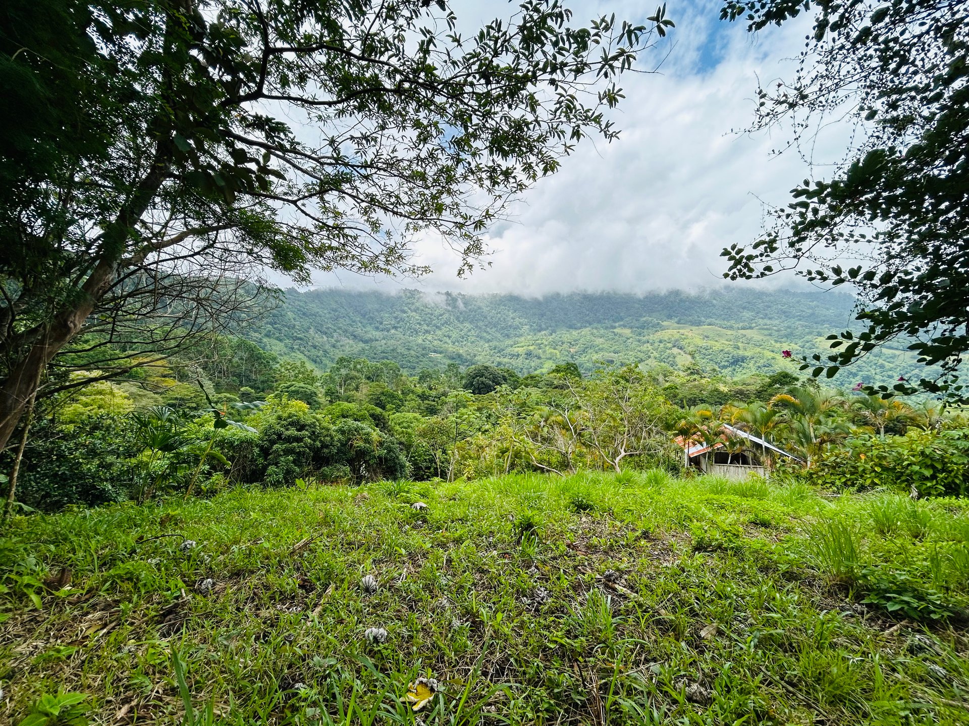 Ocean & Mountain View Lot with Multiple Building Sites-20 Minutes from Uvita