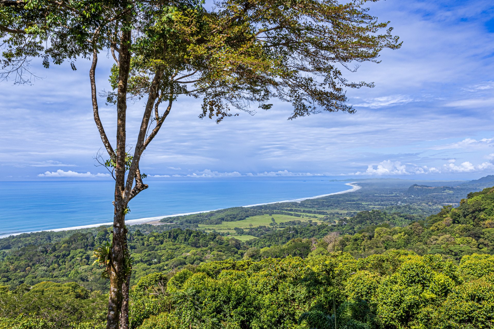 16 ACRES – 6 Bedroom Grand Estate With Guest House, 15 Minutes to Dominical, SPECTACULAR OCEAN VIEWS!!!