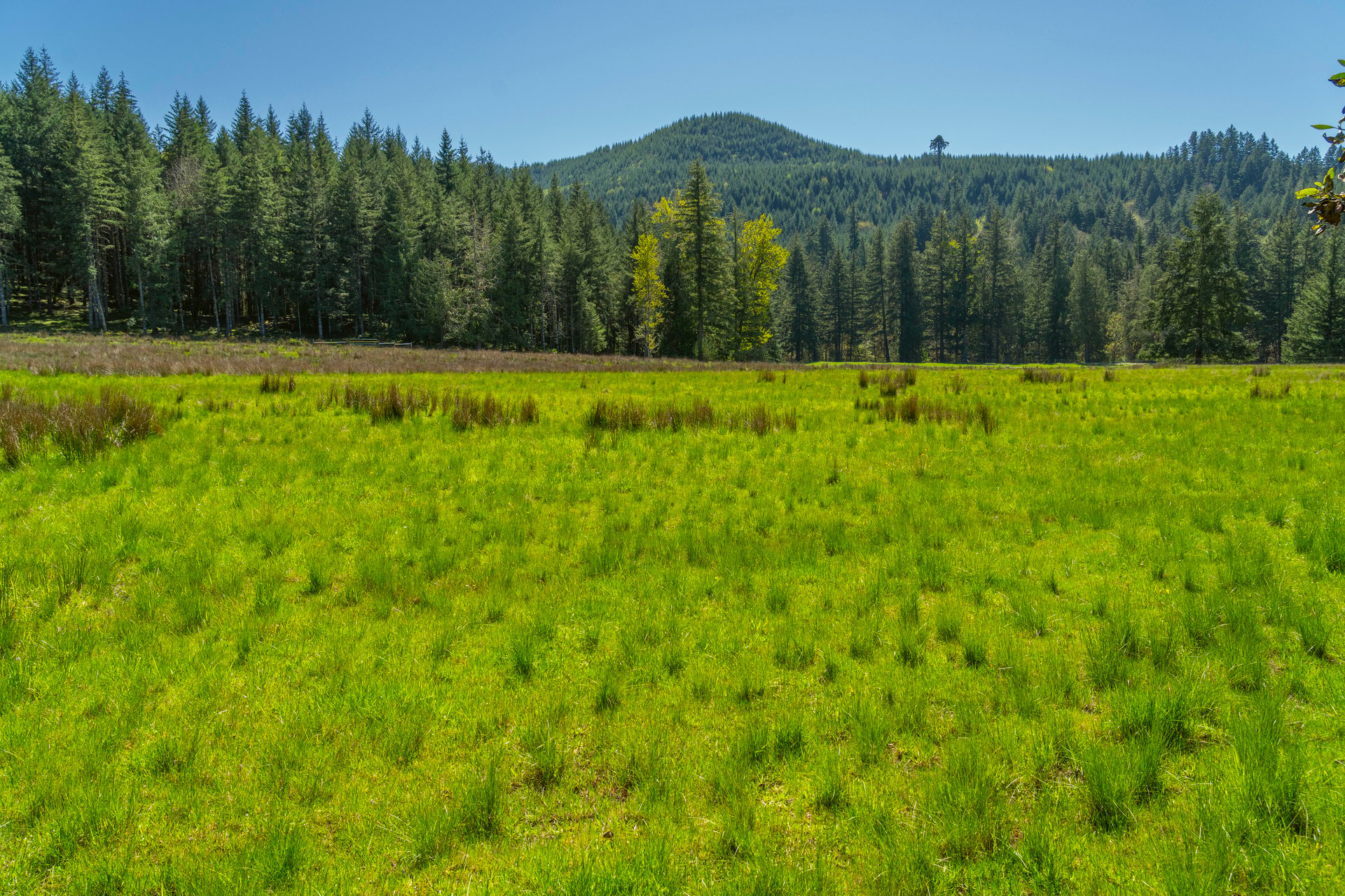Mosby Creek Farm & Forest