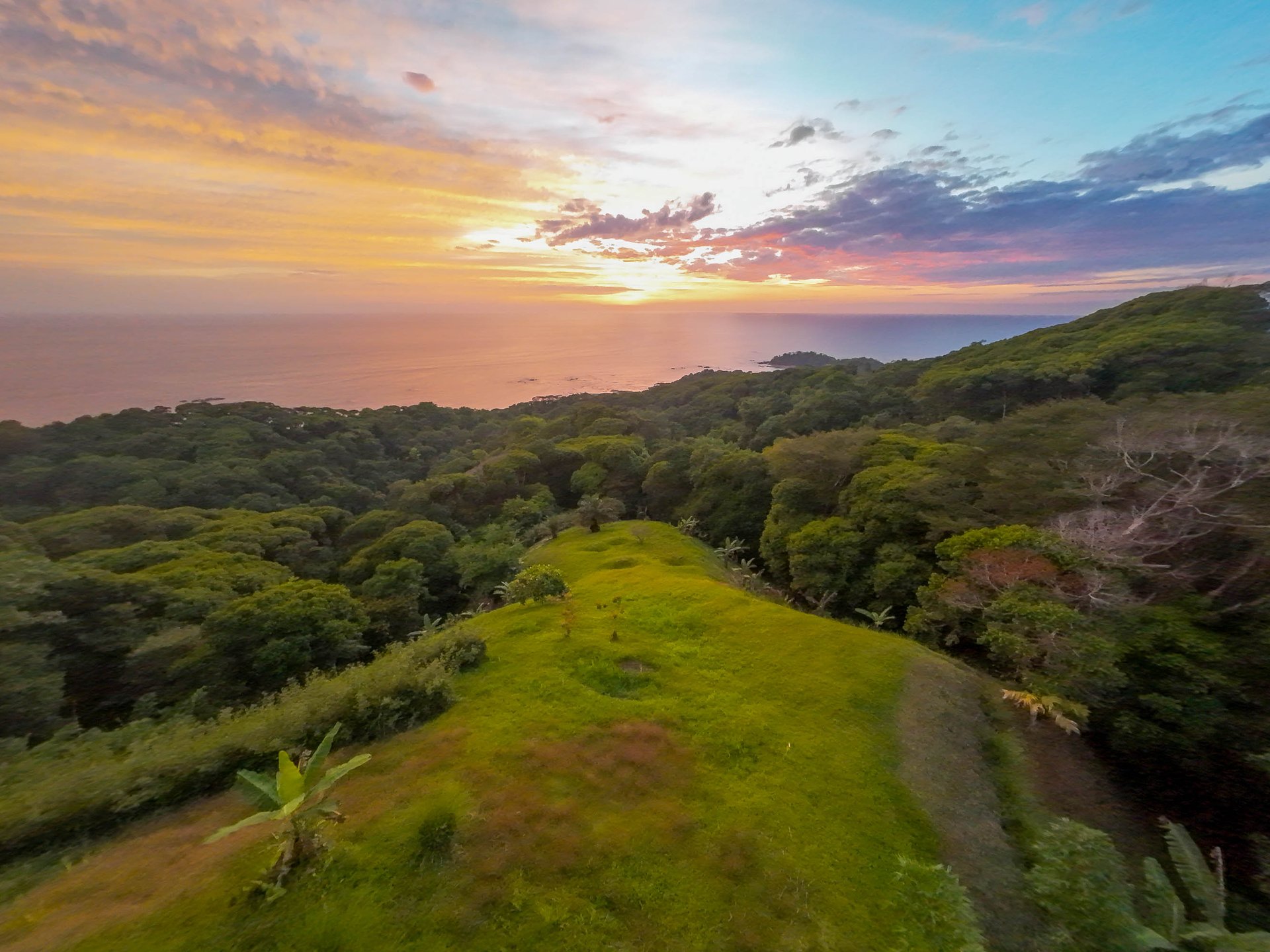Whale's Tail Ocean Views Luxury Hilltop Estate