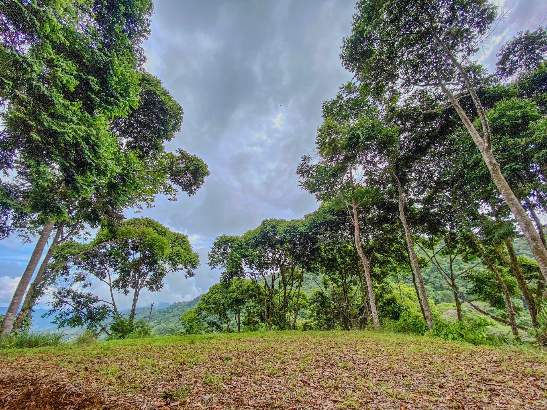 59.35 ACRES- Ocean And Mountain View Land, 6 Building Areas, Legal Water, Public Road, 20min From Beaches!!!