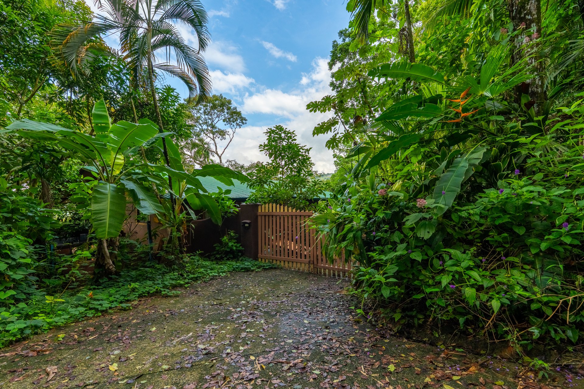 FIRE SALE!! | Where the Journey Begins | Private Jungle Estate at Nauyaca Waterfalls