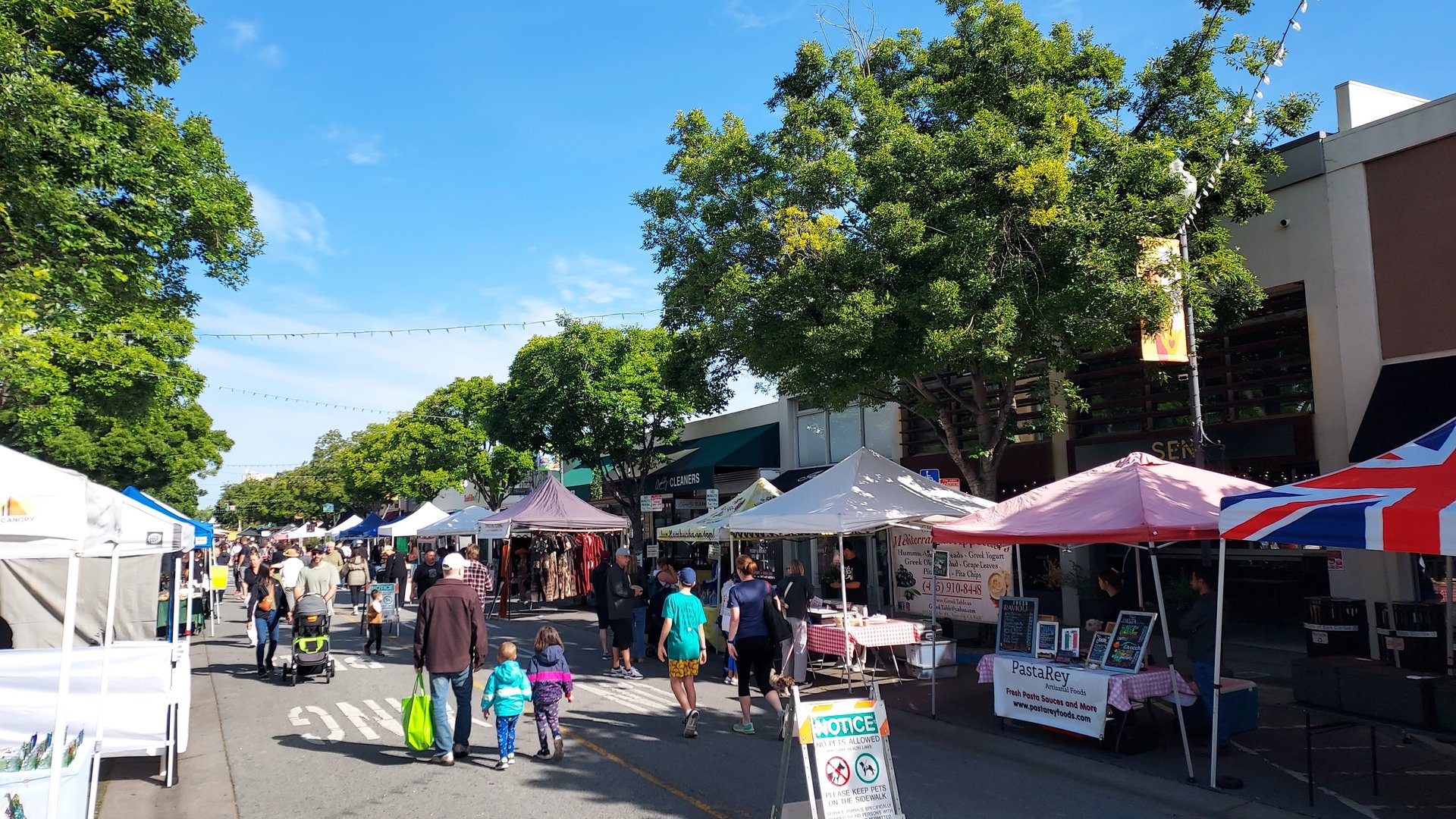 Downtown San Carlos Investment