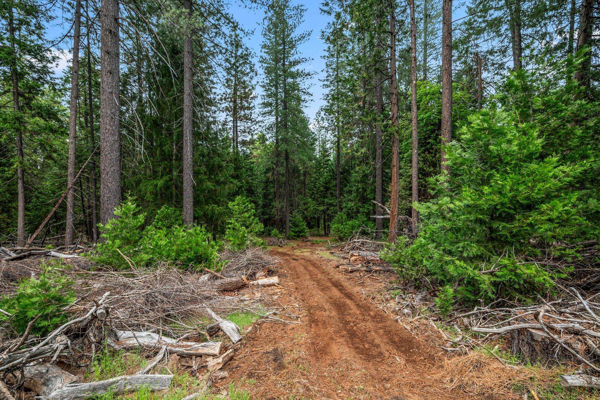 7481 Slug Gulch Rd