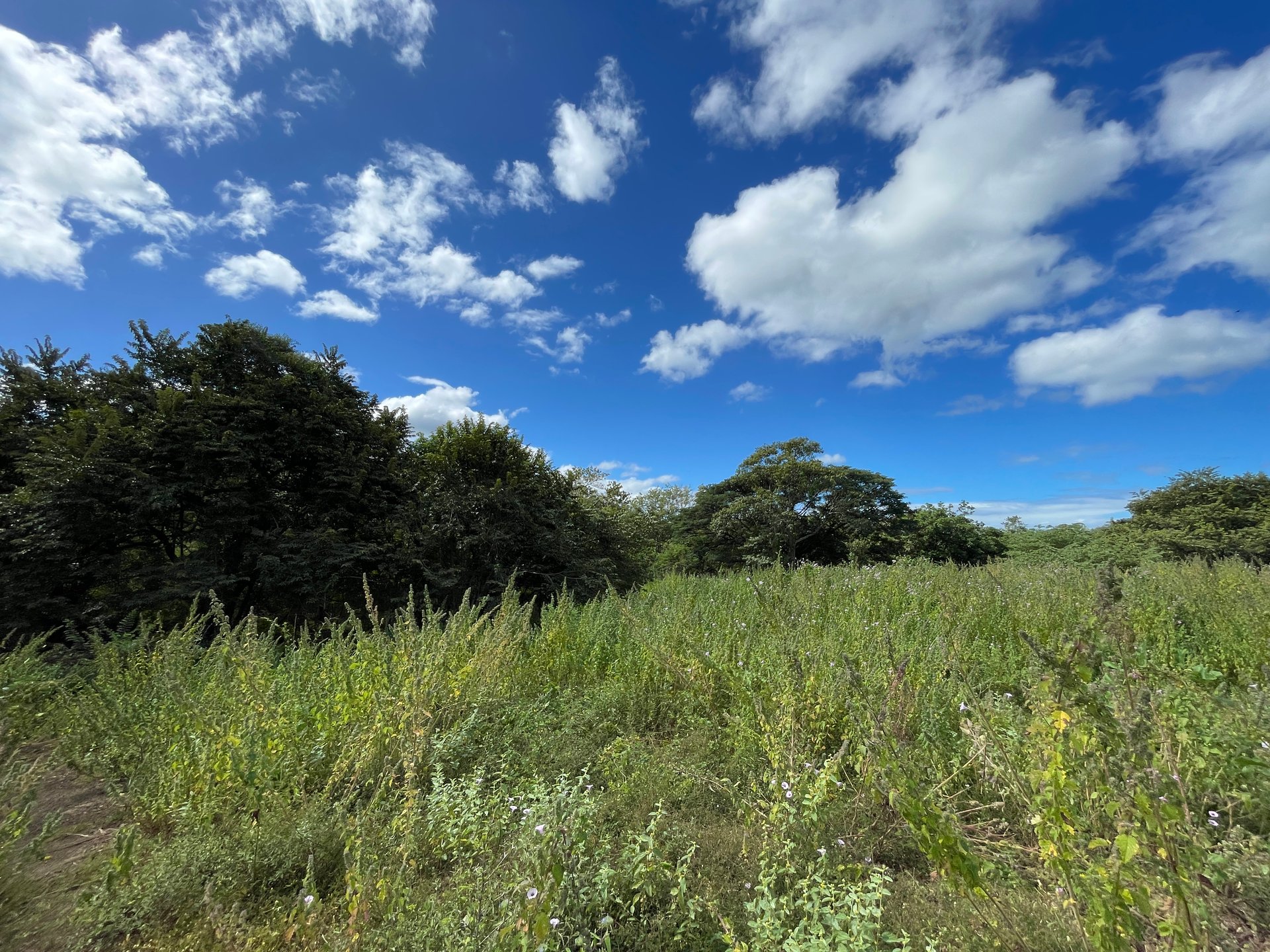 Private Jungle Estate Land in Vistas de Flamingo, Guanacaste, Costa Rica