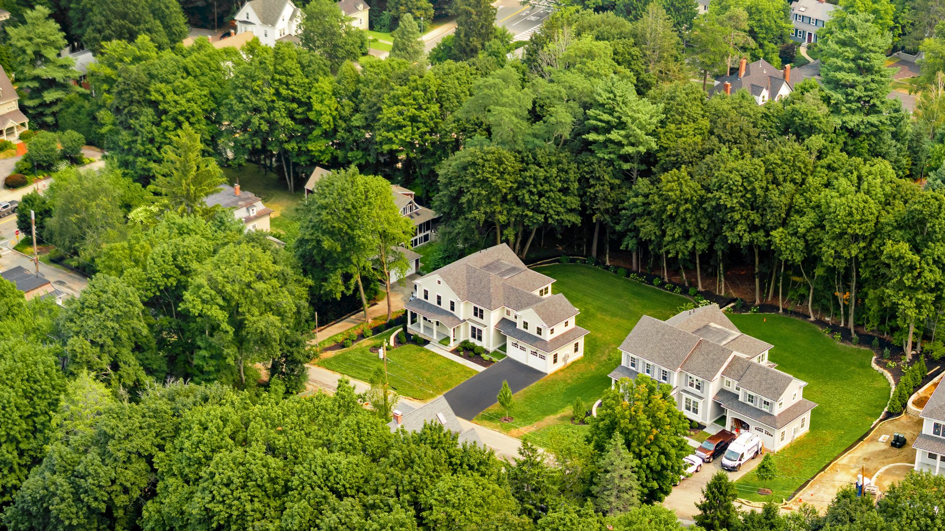 Bird Hill Avenue