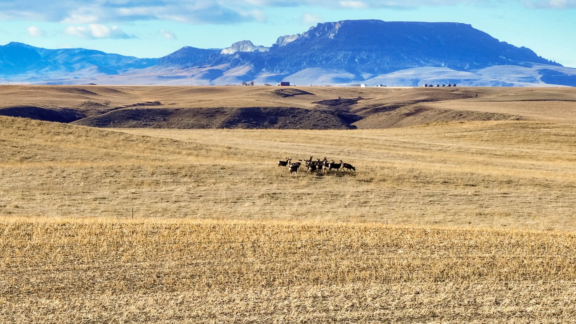 Prairie Rise Ranch