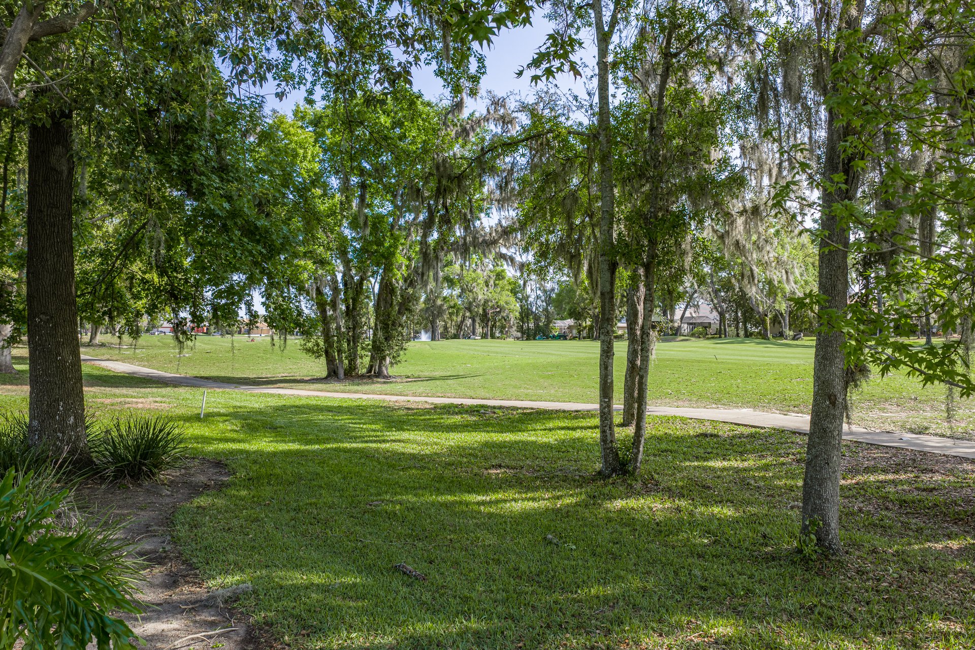 12410 WOODLANDS CIR