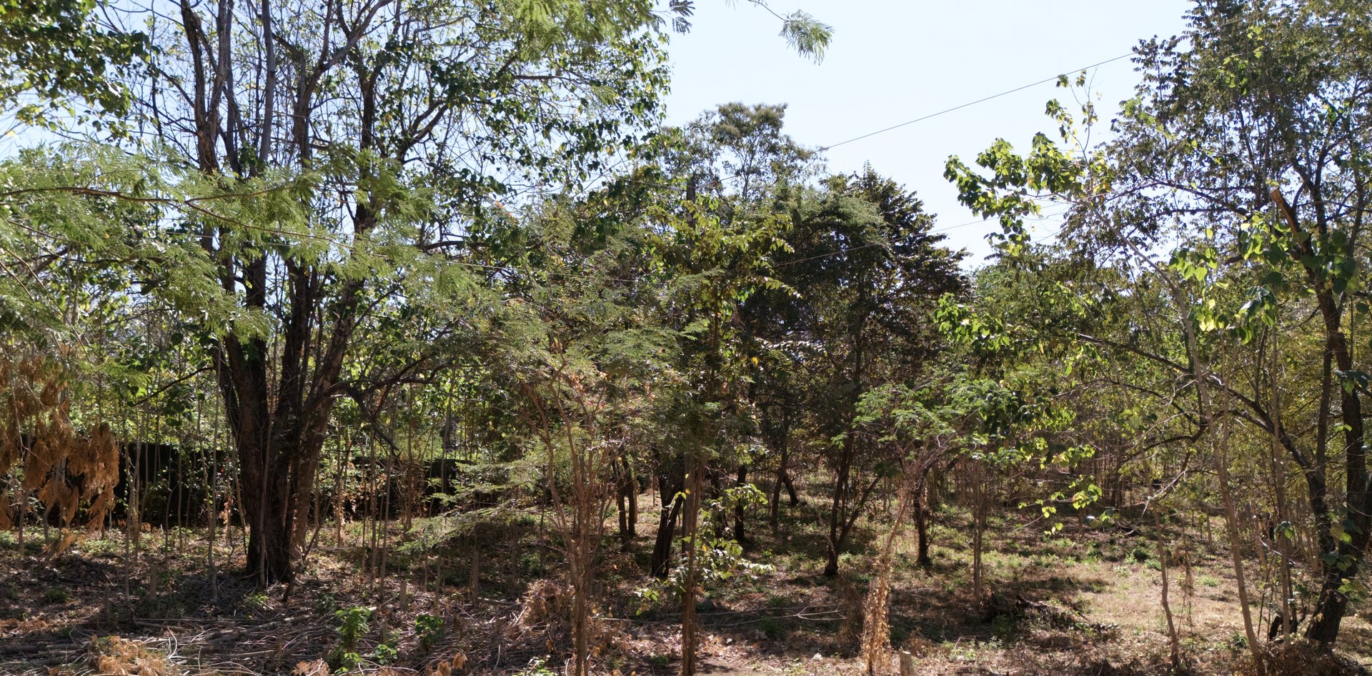 Beautiful 1.46-Acre Lot in Playa Grande