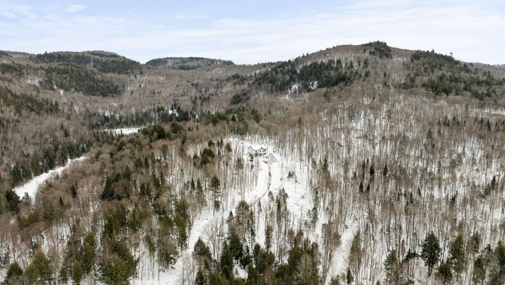 Contemporary Retreat Between Sky and Forest