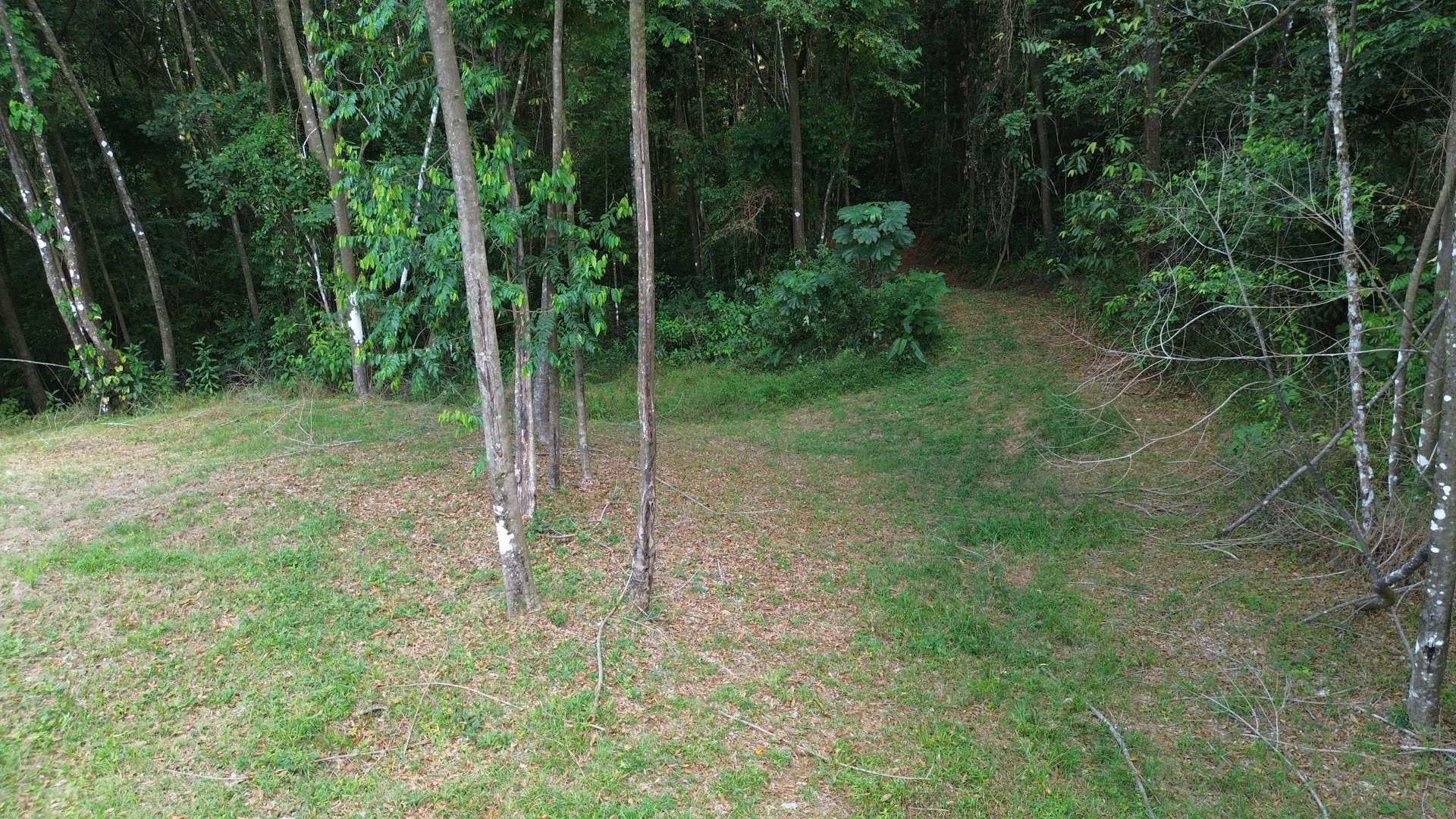 Your Private Jungle Retreat Just Minutes from Dominical