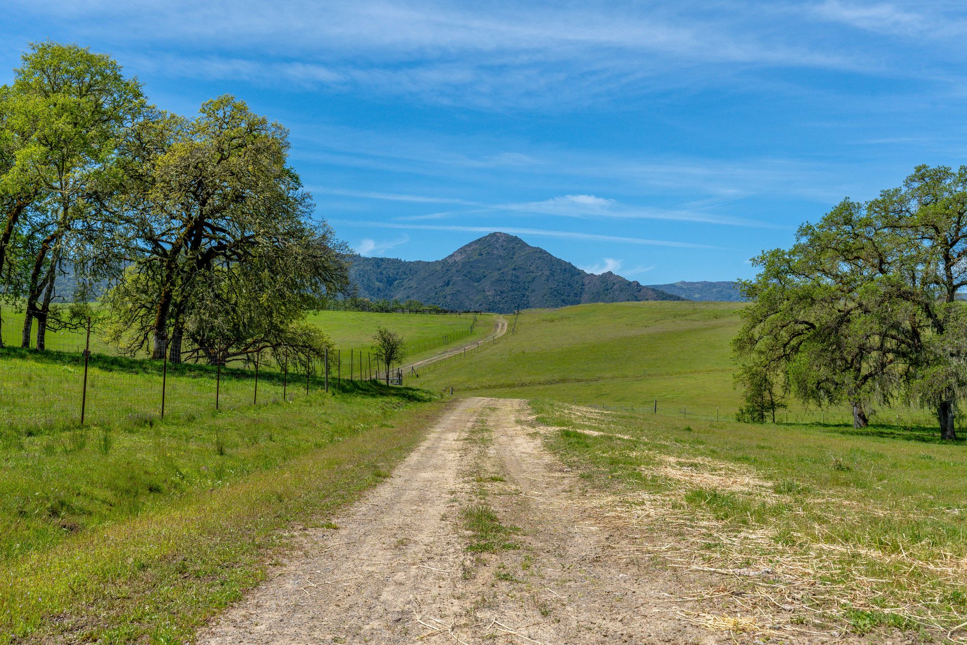 The Hopland Hills Ranch