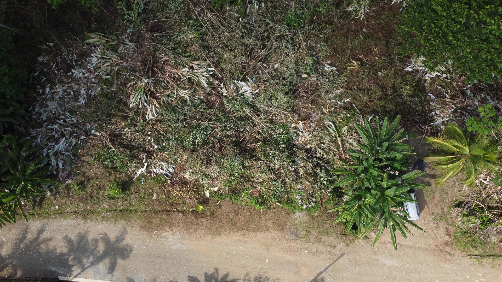 Ojochal - 1 Acre Ready To Build Jungle Lot, Ocean Breezes in Wildlife Corridore